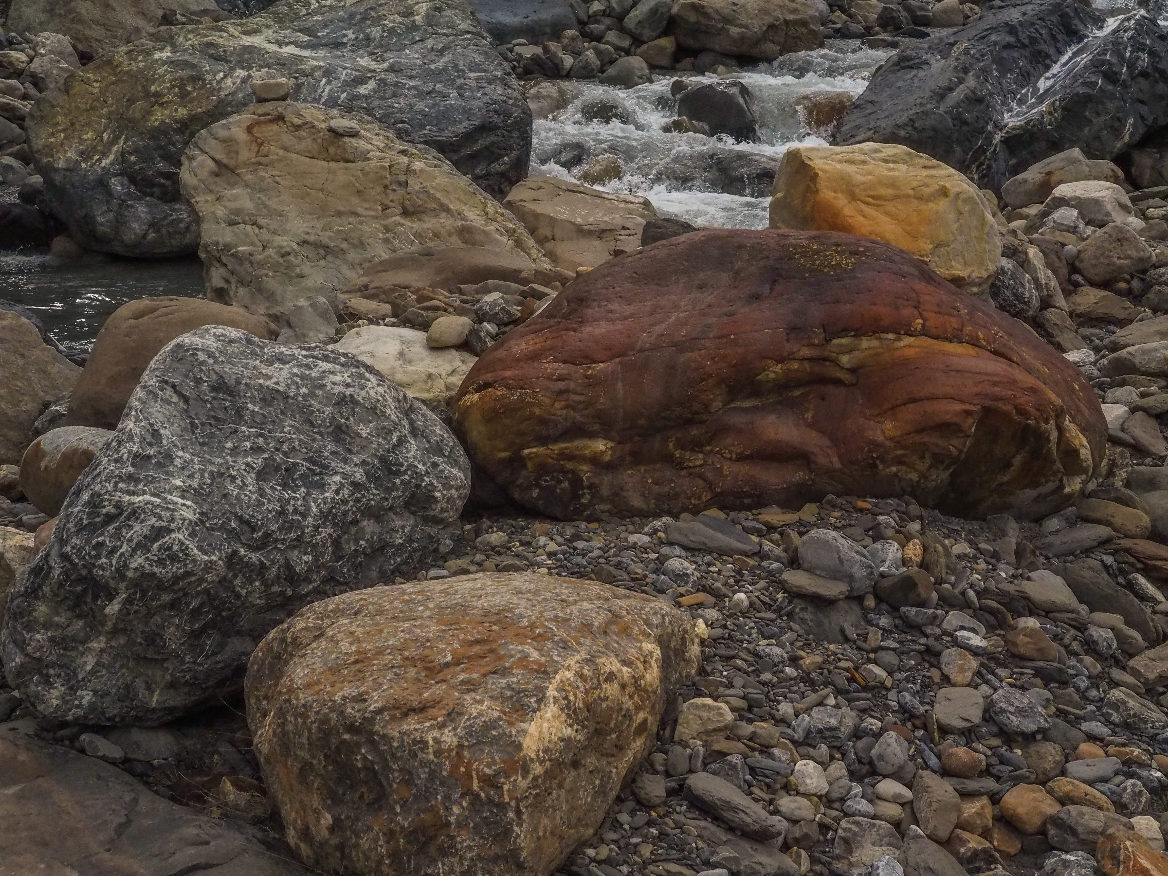 solid, sea life, stone, pebble, flowing water, nature, rubble, tranquility, land, animals in the wild, 4K, rock - object, beauty in nature, flagstone, HD Wallpaper