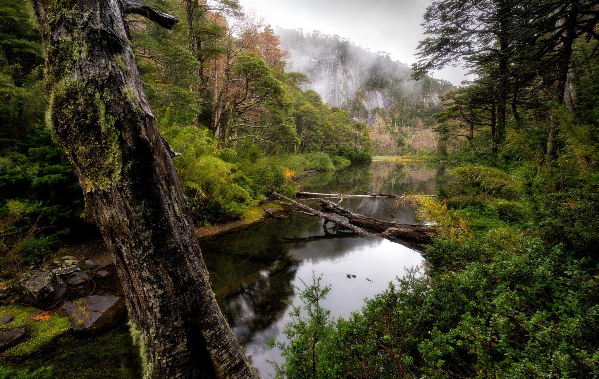 Huerquehue National Park, 1080P, Chile, Araucania, HD Wallpaper