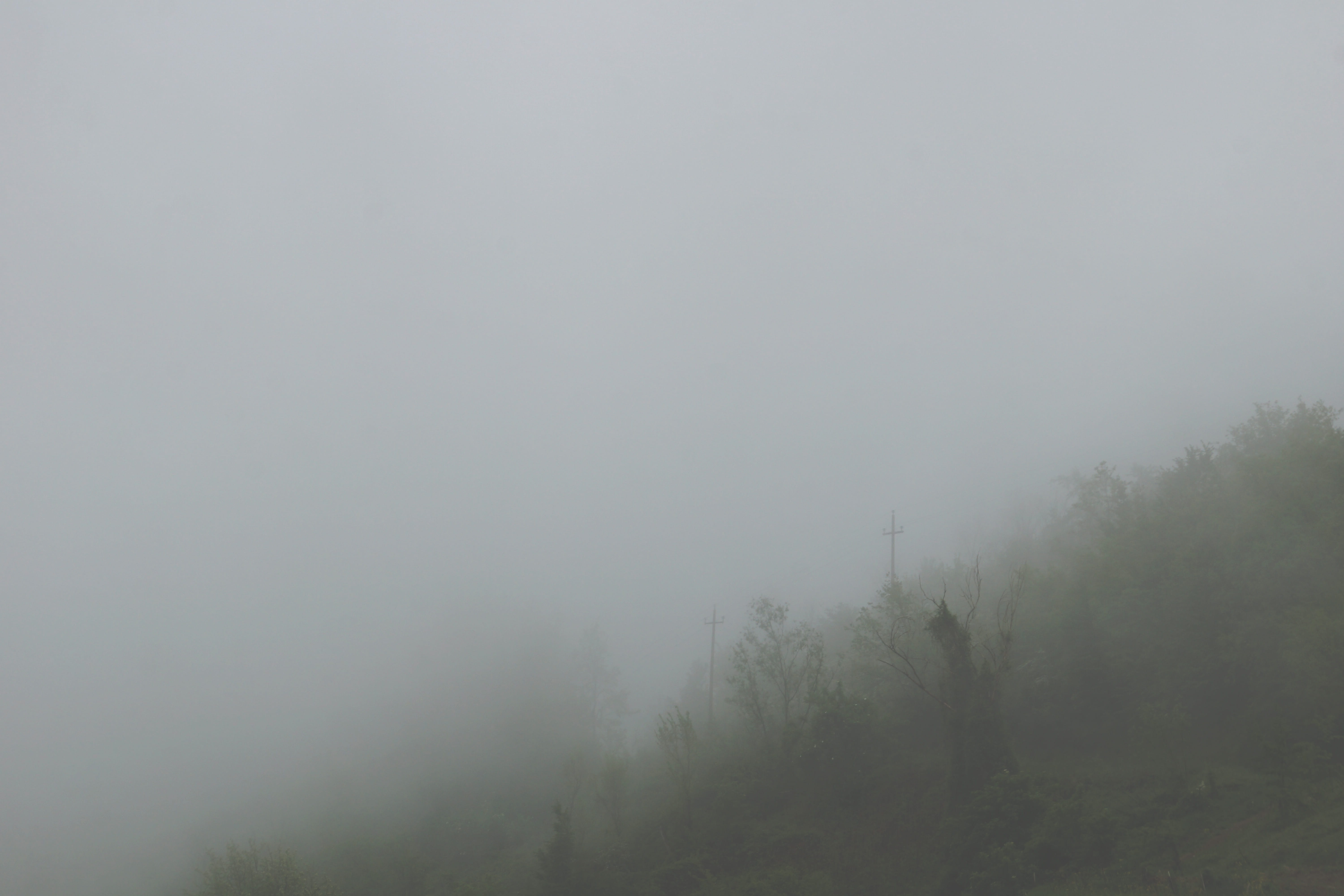 idyllic, hights, tree, non-urban scene, day, shaped, hazy, landscape, grey, outdoors, nature, moutains, parco nazionale del gran sasso e monti della laga, HD Wallpaper