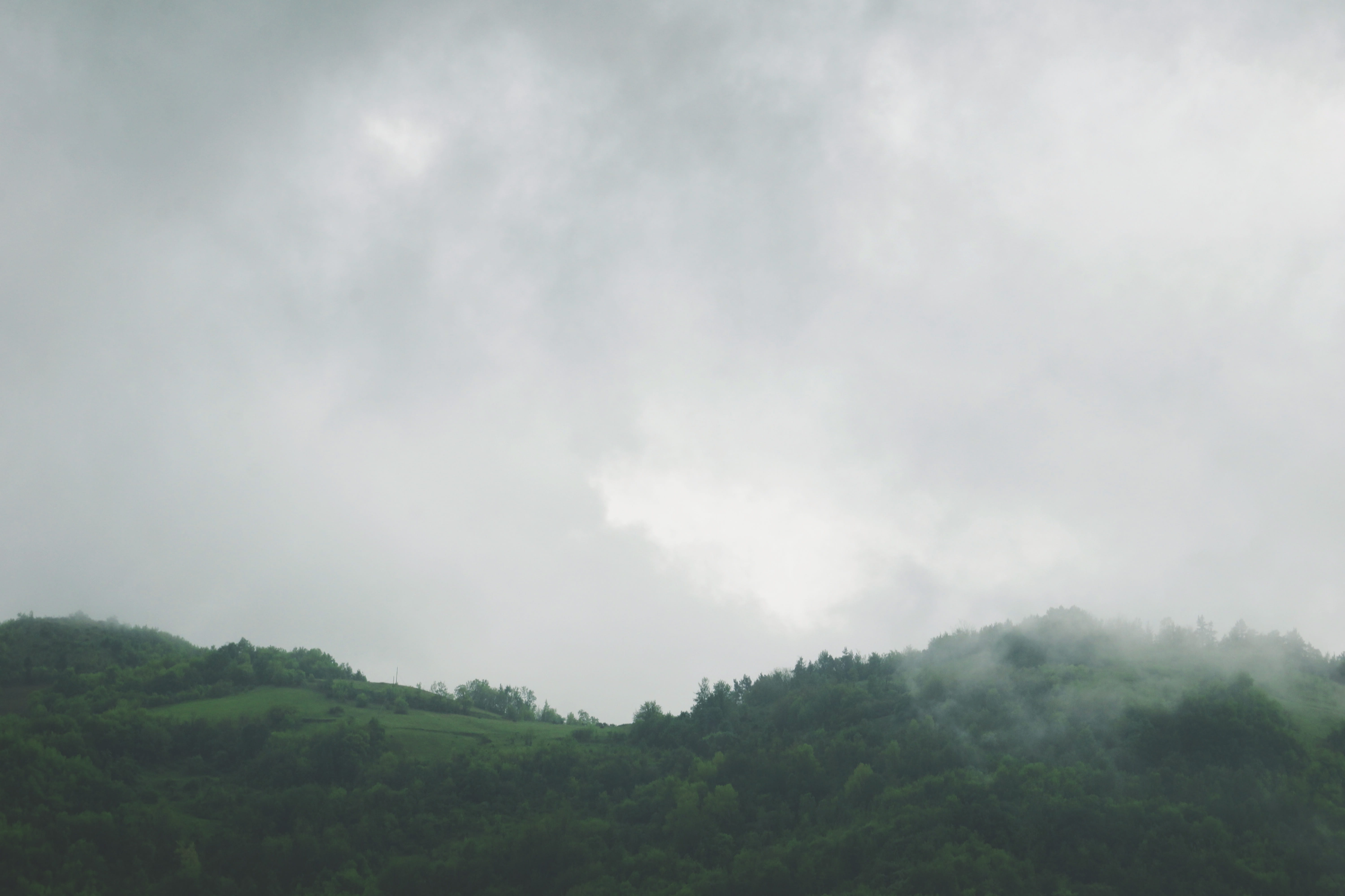 cloud - sky, growth, green color, nature, rainforest, scenics - nature, non-urban scene, ambiance, tree, environment, green, beauty in nature, mist, trees, HD Wallpaper
