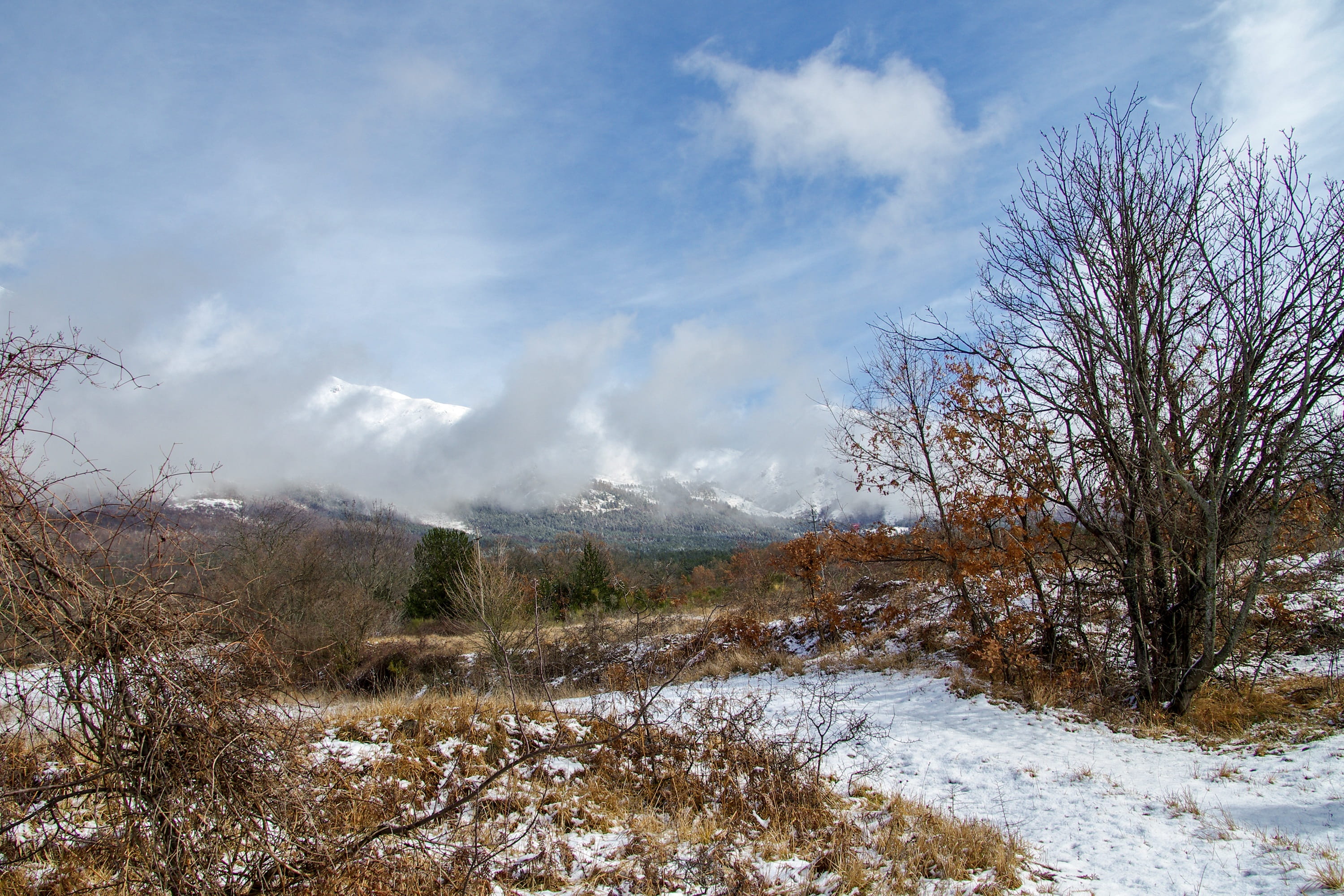 national park of abruzzo, the abruzzo national park, branches, cloud - sky, laquila, gran sasso, winter landscape, winter, nature, mountain, land, plant, HD Wallpaper