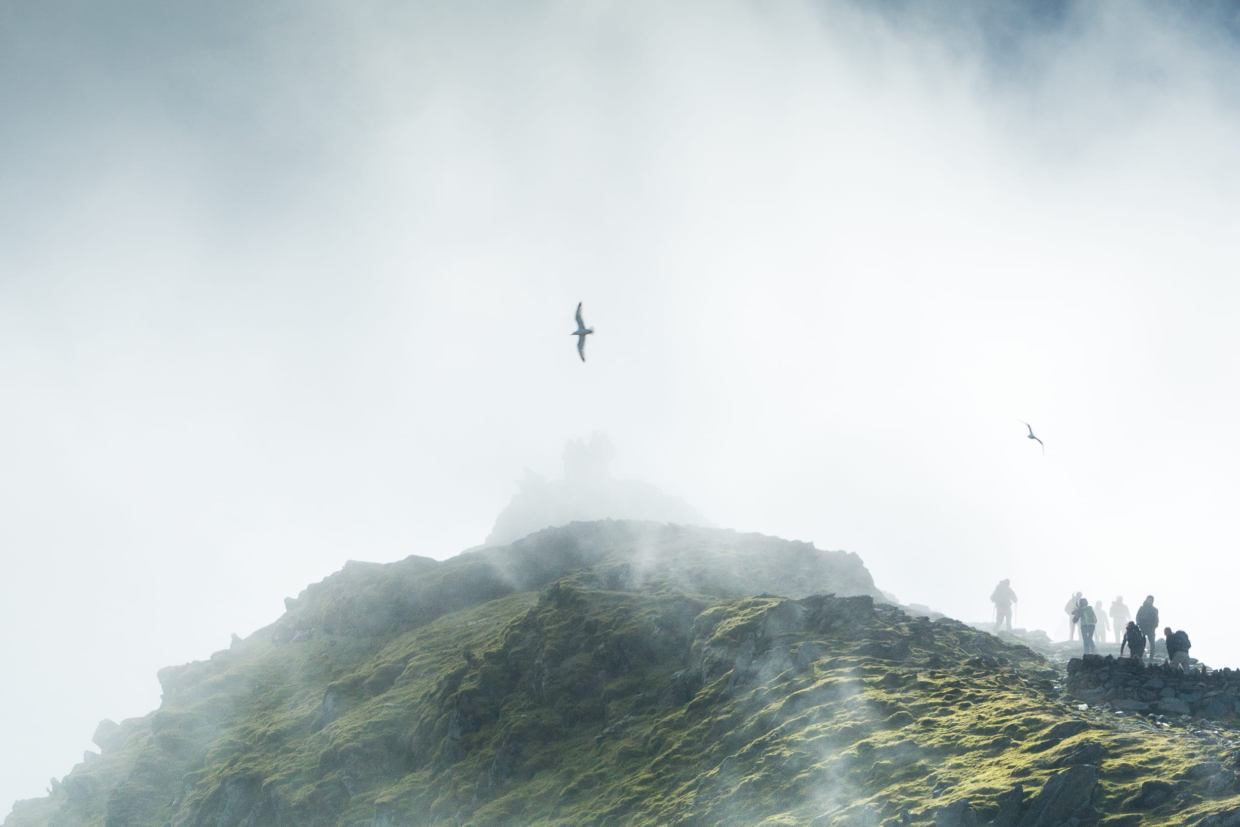 vertebrate, transportation, beauty in nature, snowdon, airplane, mode of transportation, snowdonia, scramble, low angle view, day, air vehicle, caernarfon, HD Wallpaper