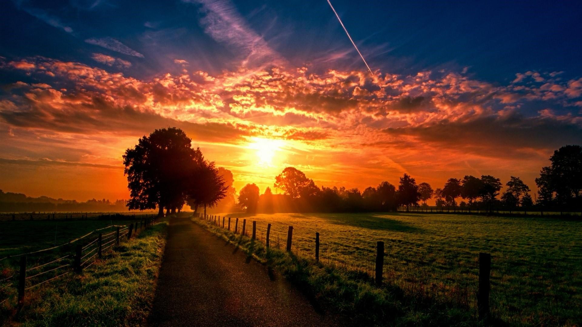 sunlight, orange sky, 1080P, summer, nature, tree, cloud, fence, sky, field, sunset, road, afterglow, evening, HD Wallpaper
