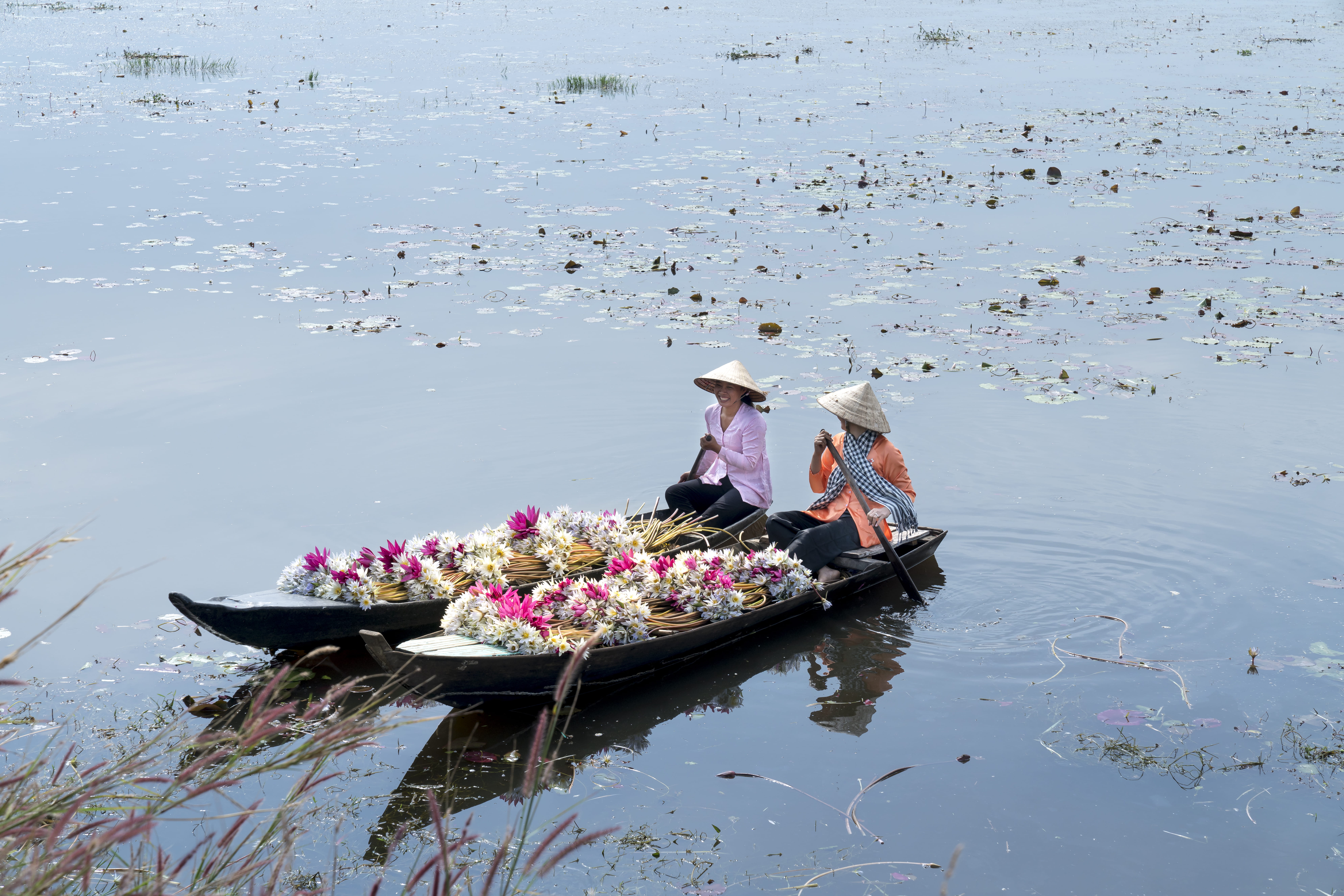 day, recreation, ocean, vehicle, sea, clothing, hat, leisure, occupation, flowers, men, adults, daylight, transportation, boats, riding, outdoors, rowboat, HD Wallpaper