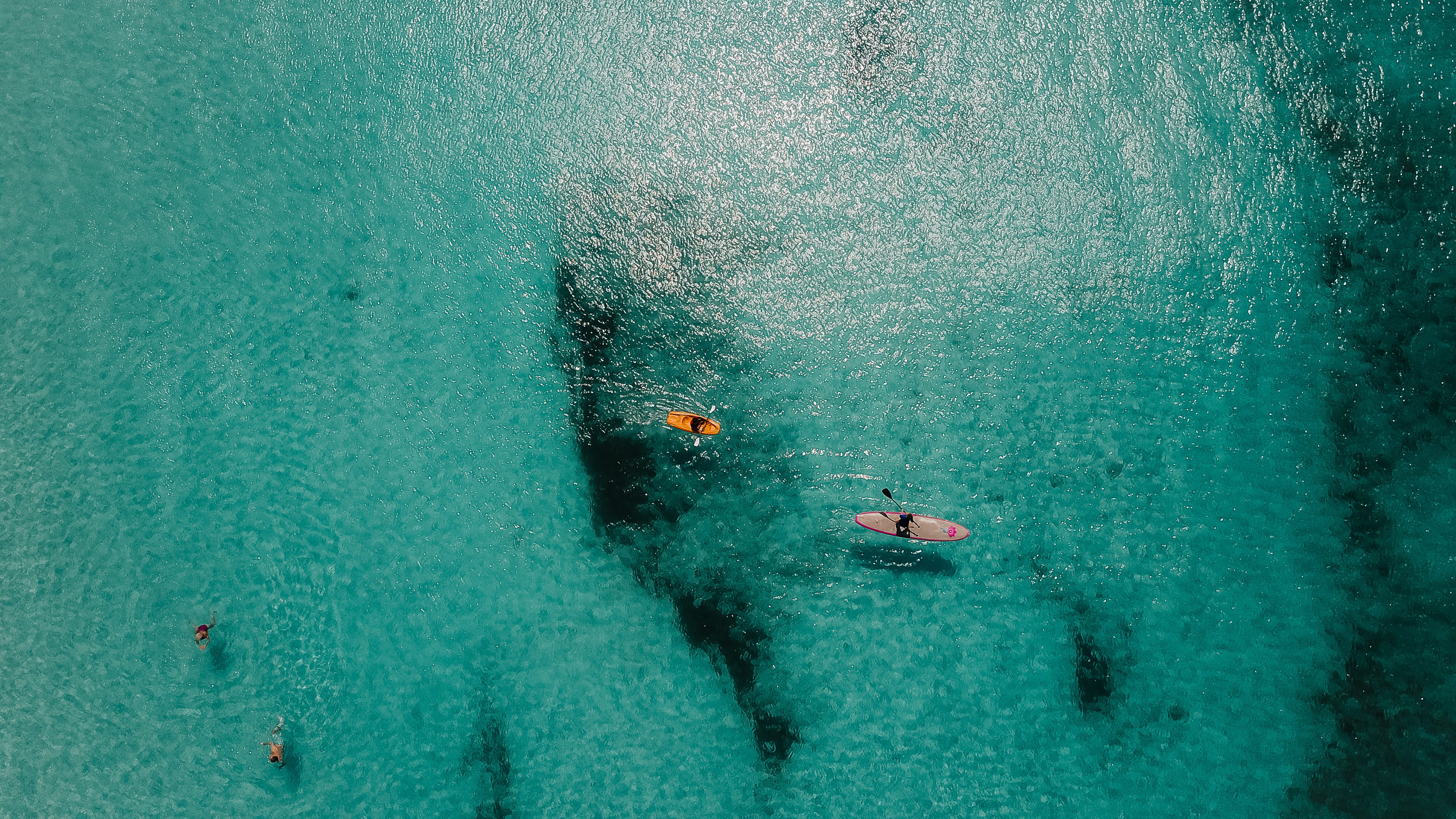 vessel, real people, high angle view, animal, middle, nature, boat, orange, group of people, turquoise colored, riding, aquatic sport, day, home decor, HD Wallpaper