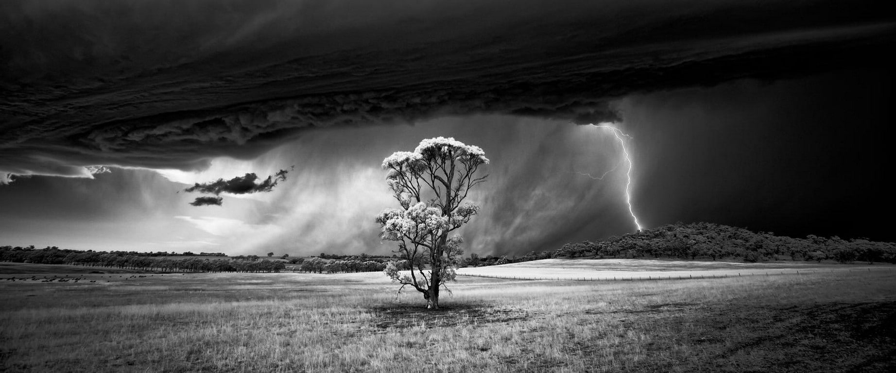 supercell (nature), ominous, Lightning, land, cloud - sky, tree, 720P, power in nature, water, sky, scenics - nature, clouds, environment, nature, beauty in nature, HD Wallpaper
