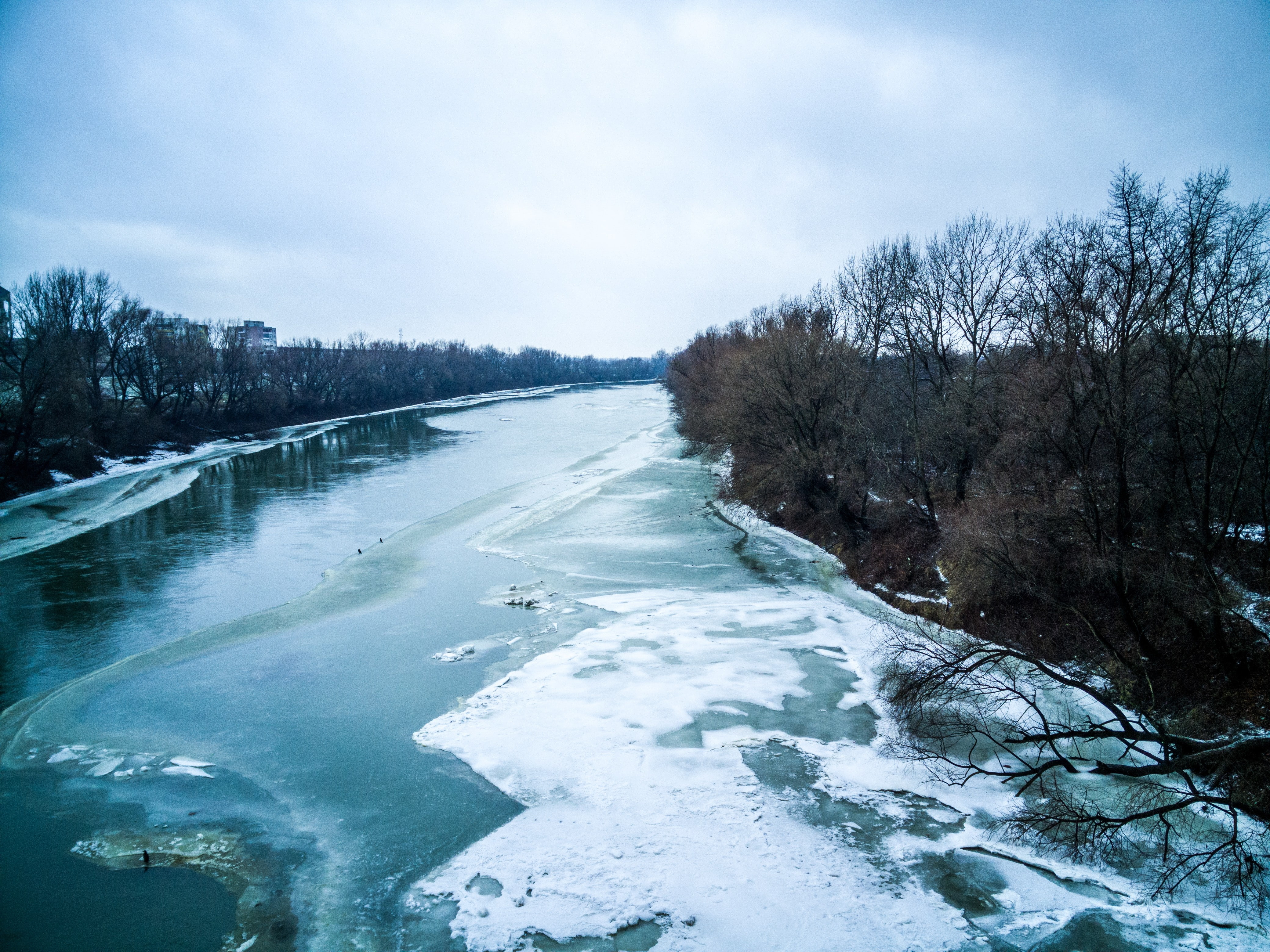 flowing water, river, flowing, non-urban scene, water, day, tree, stream - flowing water, plant, landscape, cold, tranquility, cold temperature, beauty in nature, HD Wallpaper