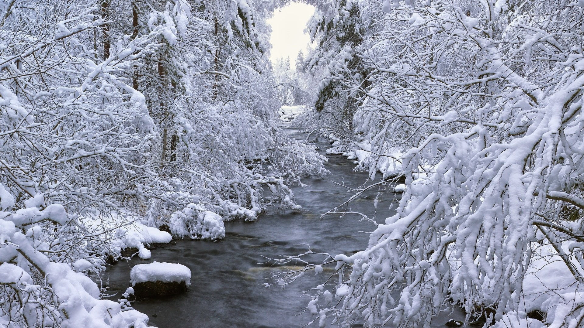 no people, ice, nature, cold temperature, winter, outdoors, plant, tranquil scene, 1080P, water, snow, photo, branch, besides, tranquility, scenics - nature, HD Wallpaper