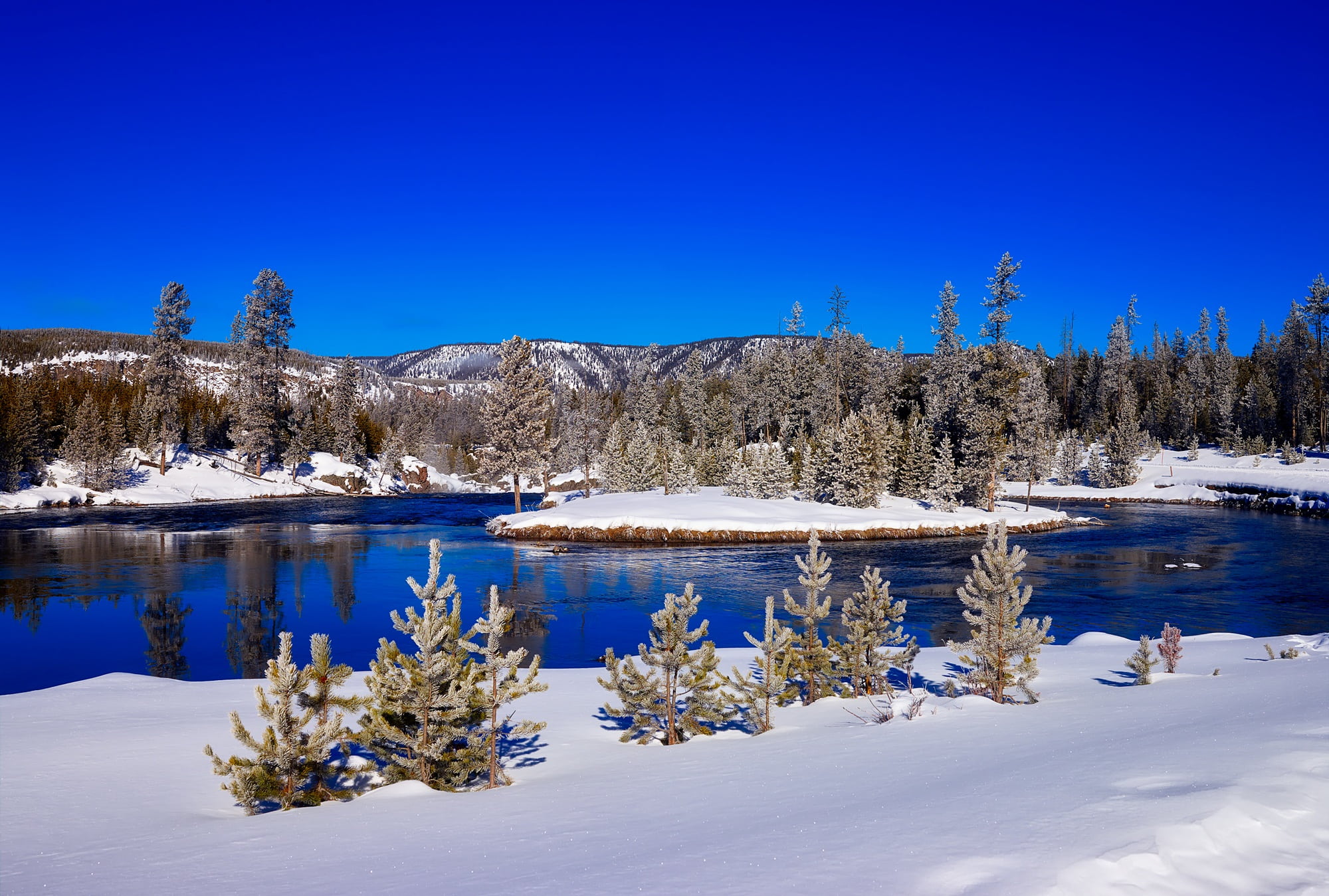 meadow, outdoors, landscape, tree, national park, water, woodland, ice, tourism, nature, wilderness, tranquil scene, tranquility, snowcapped mountain, pine tree, HD Wallpaper