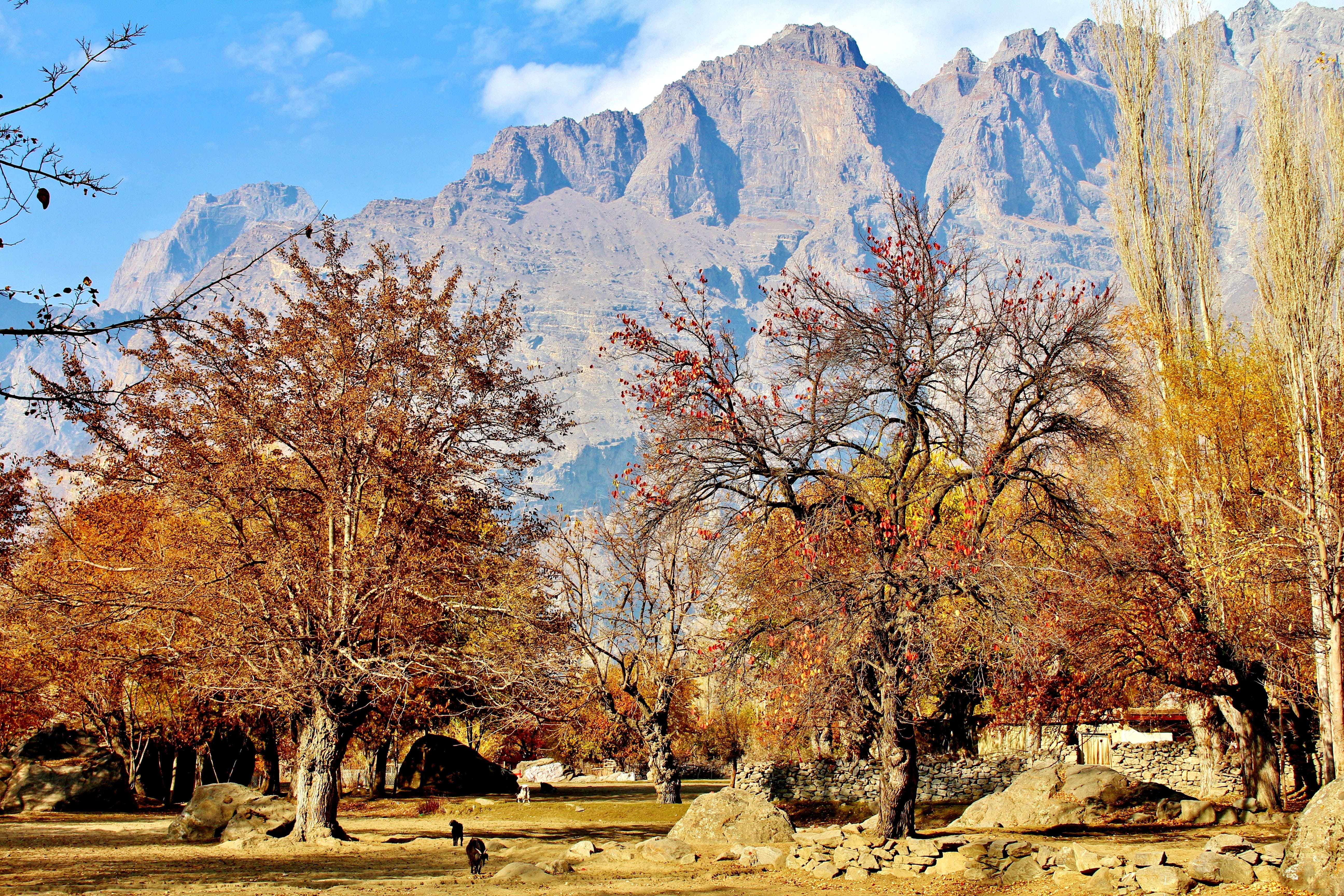 nature, outdoors, pakistan, hike, mountain range, plant, skardu, sunlight, hiking, air, tree, tranquility, beauty in nature, scenics - nature, blue, non-urban scene, HD Wallpaper