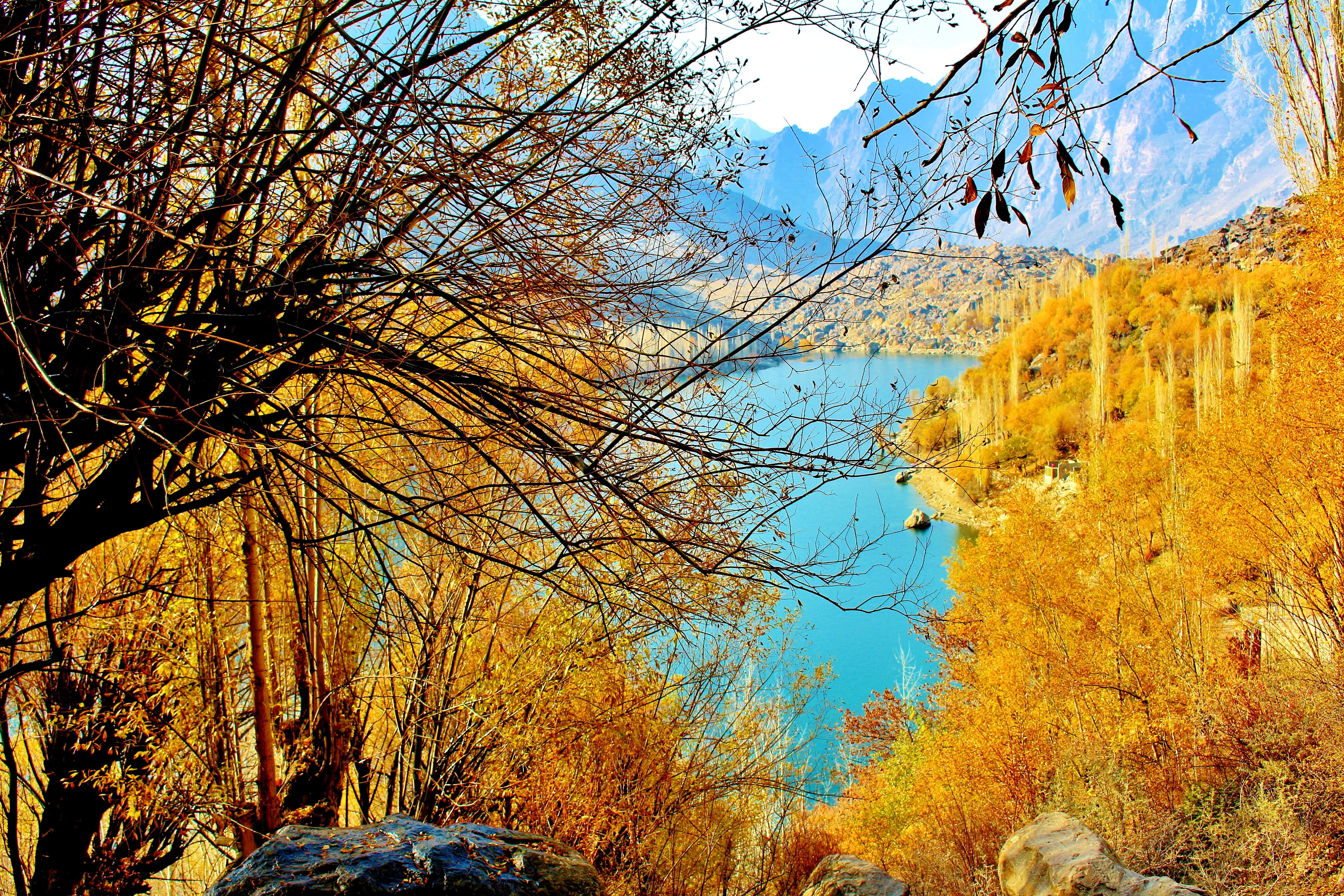 travel, non-urban scene, tranquility, Pakistan, beauty In Nature, tranquil Scene, vibrant Color, forest, branch, park - Man Made Space, karakorum, rock, HD Wallpaper