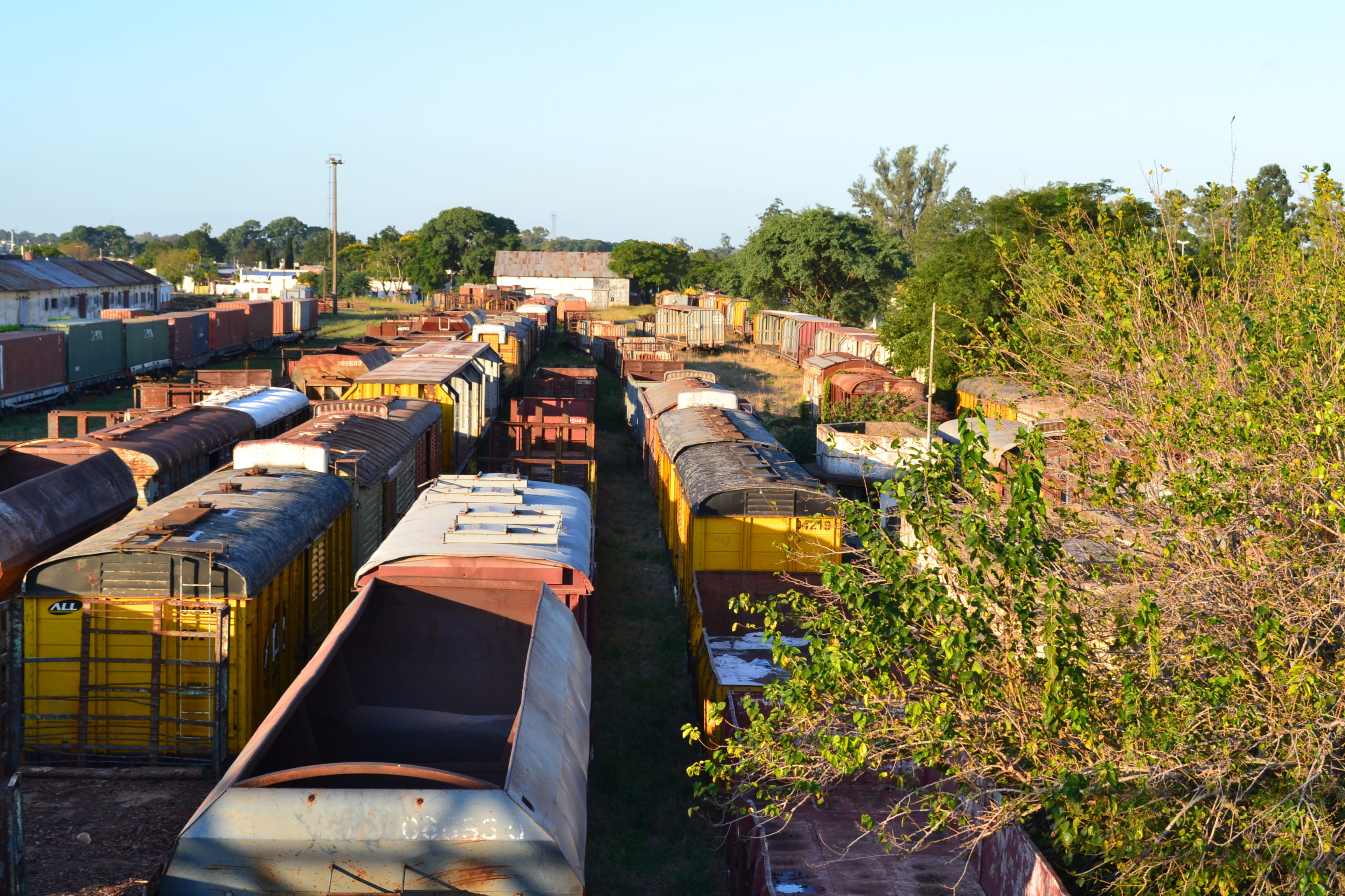 built structure, sunlight, argentina, entre rios, clear sky, roof tile, concordia, tree, trains, 2K, green color, transportation, building, high angle view, HD Wallpaper