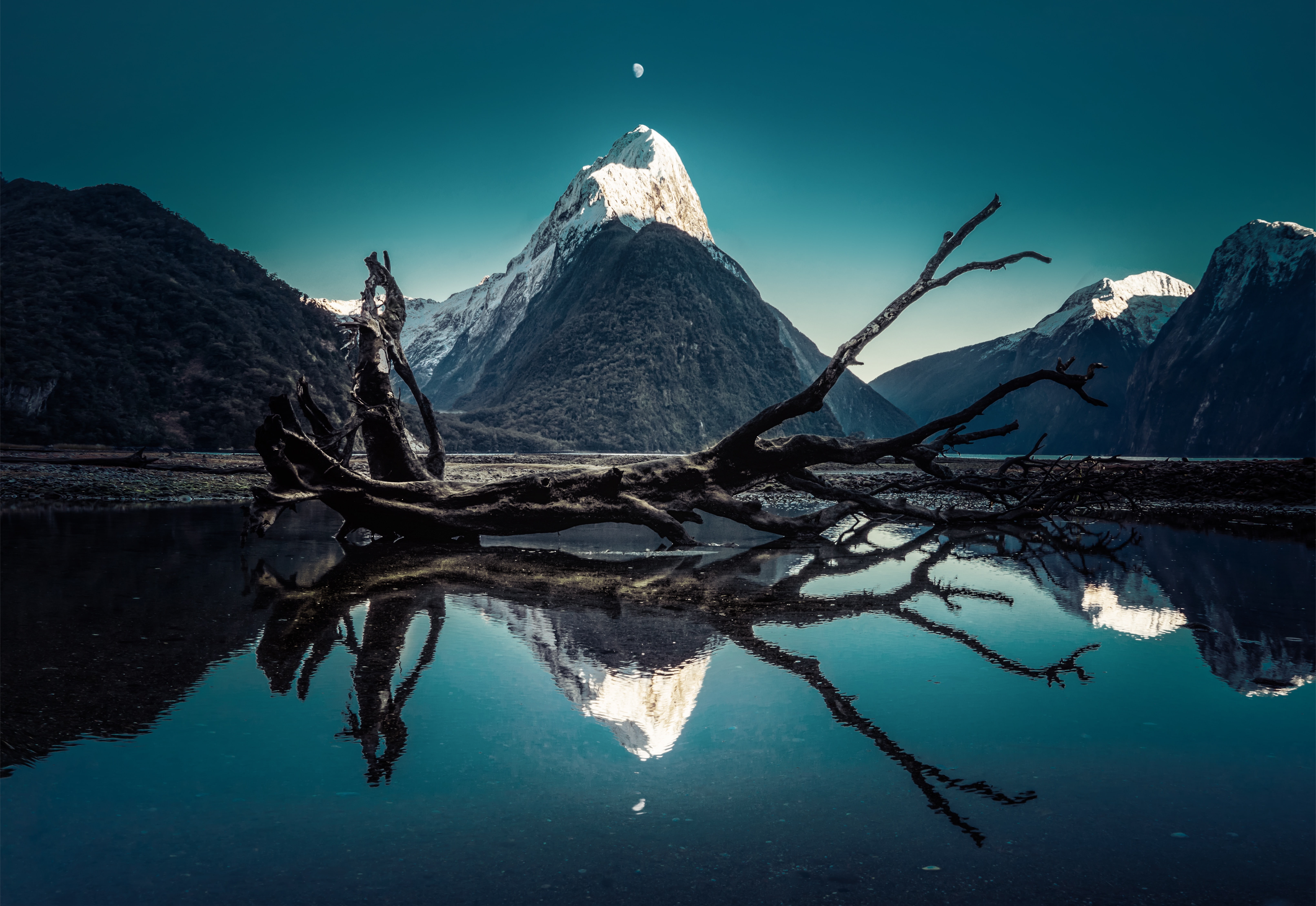 5K, water, Milford Sound, drift, wood, 4K, Mitre Peak, body, Moon, HD Wallpaper