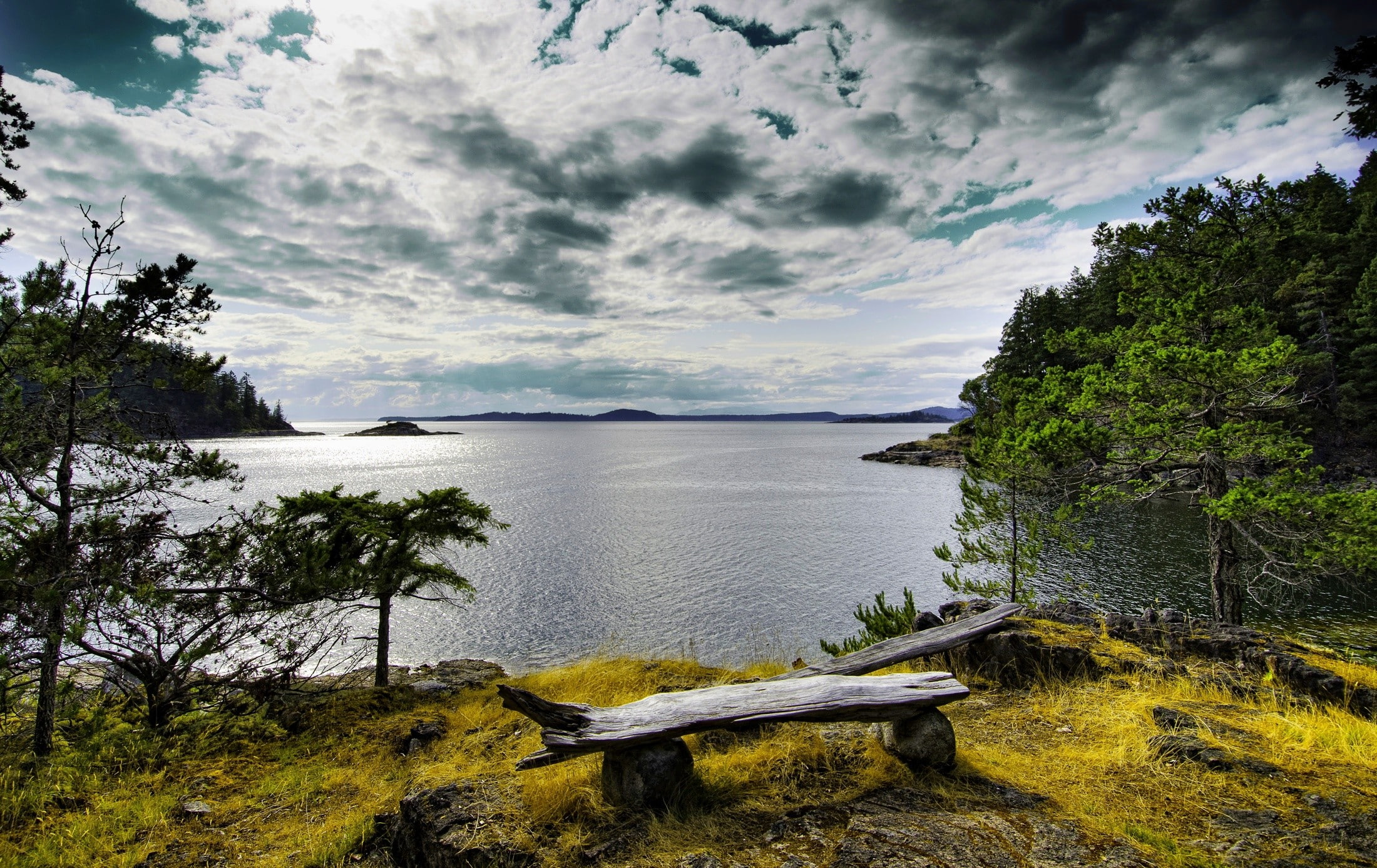 1080P, idyllic, beauty in nature, nature, sky, trees, tranquility, remote, far view, tree, water, sea, growth, plant, beach, lake, day, no people, driftwood, HD Wallpaper