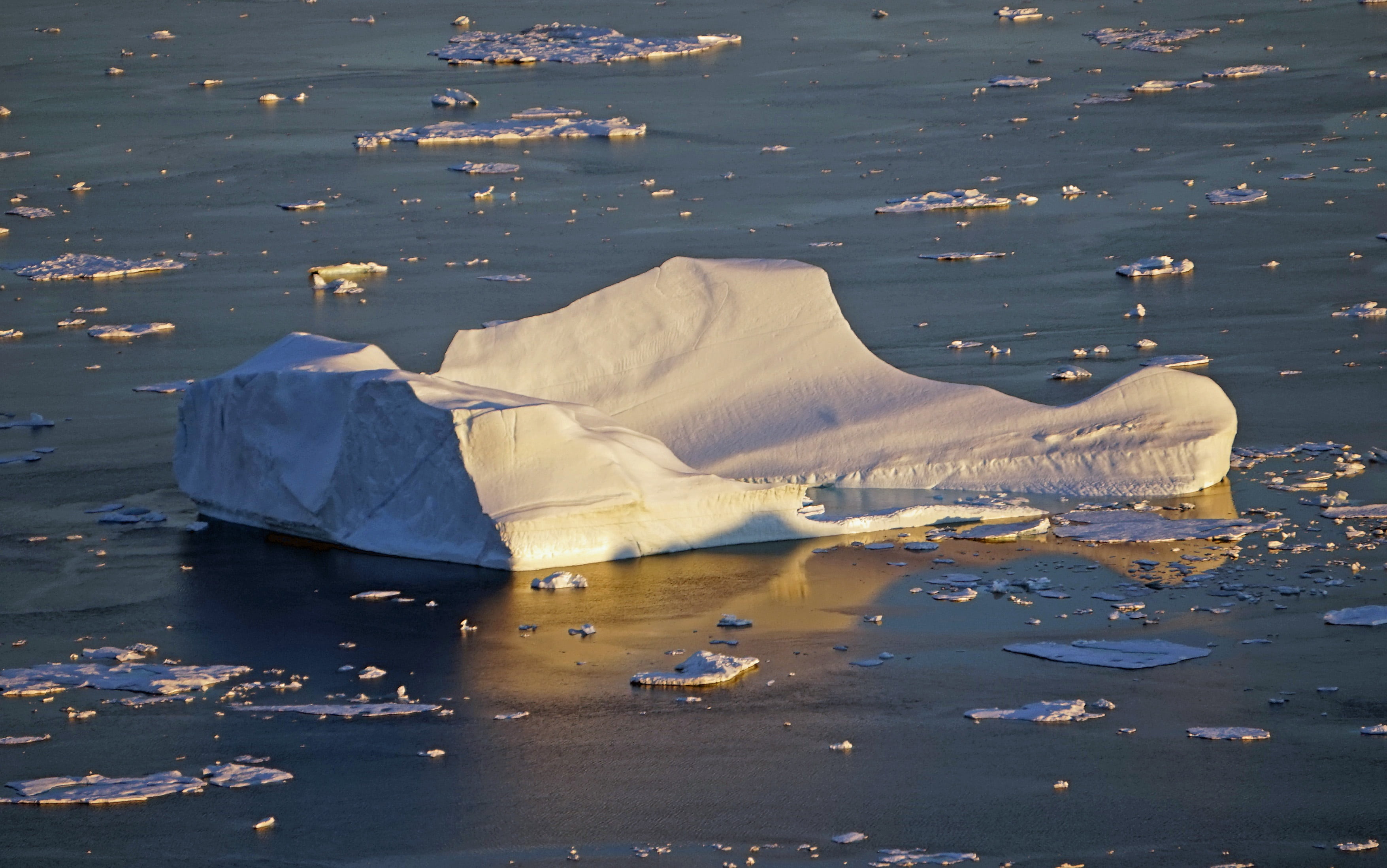 greenland, iceberg, block, water, ice, floating on water, bird, animal, pollution, high angle view, floating, outdoors, environment, day, animals in the wild, HD Wallpaper