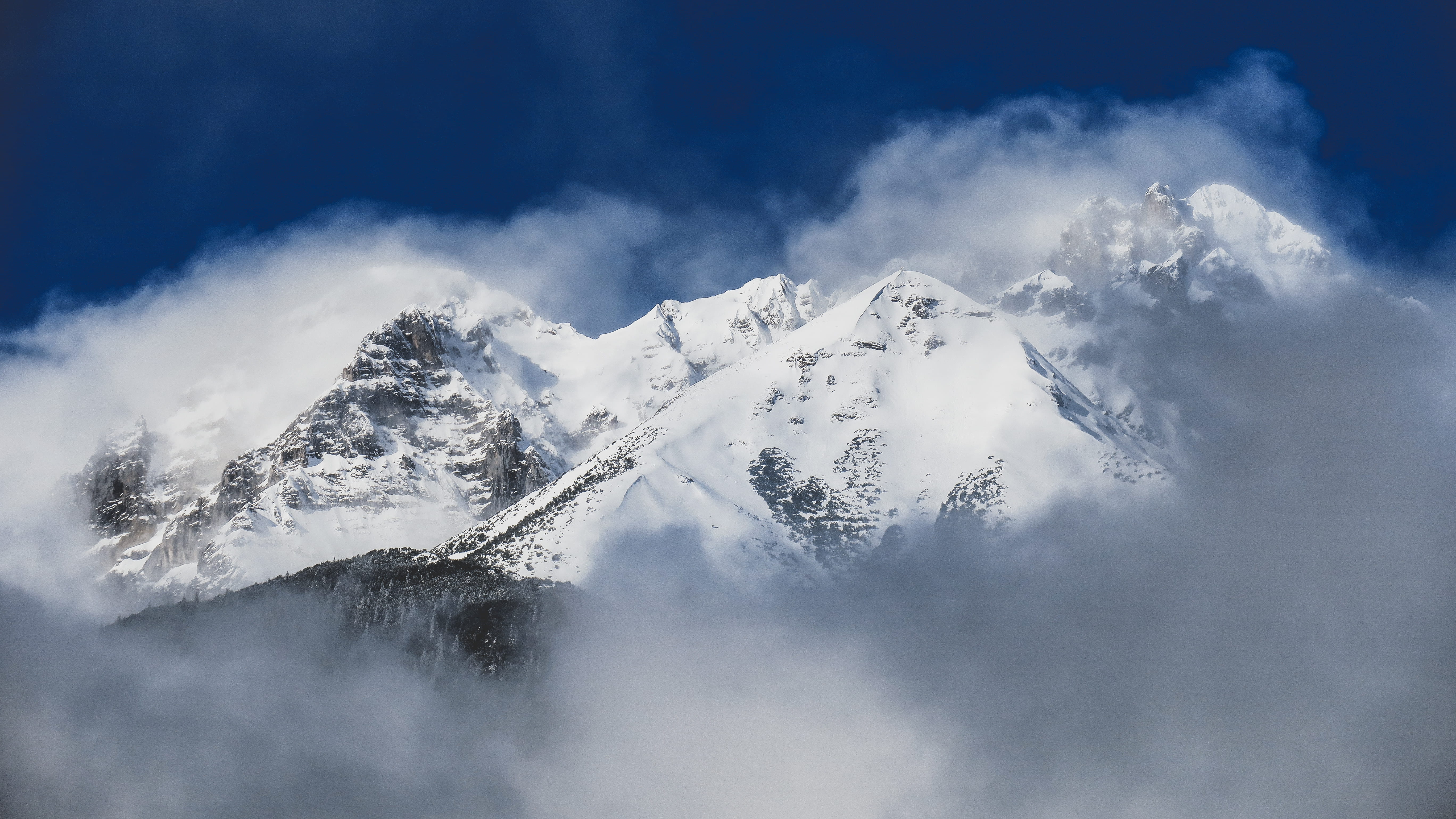 covered, cold temperature, pine woodland, daytime, cloud, environment, mountains, high Up, pine tree, glacier, winter, blue, snow, summit, mountain Peak, HD Wallpaper