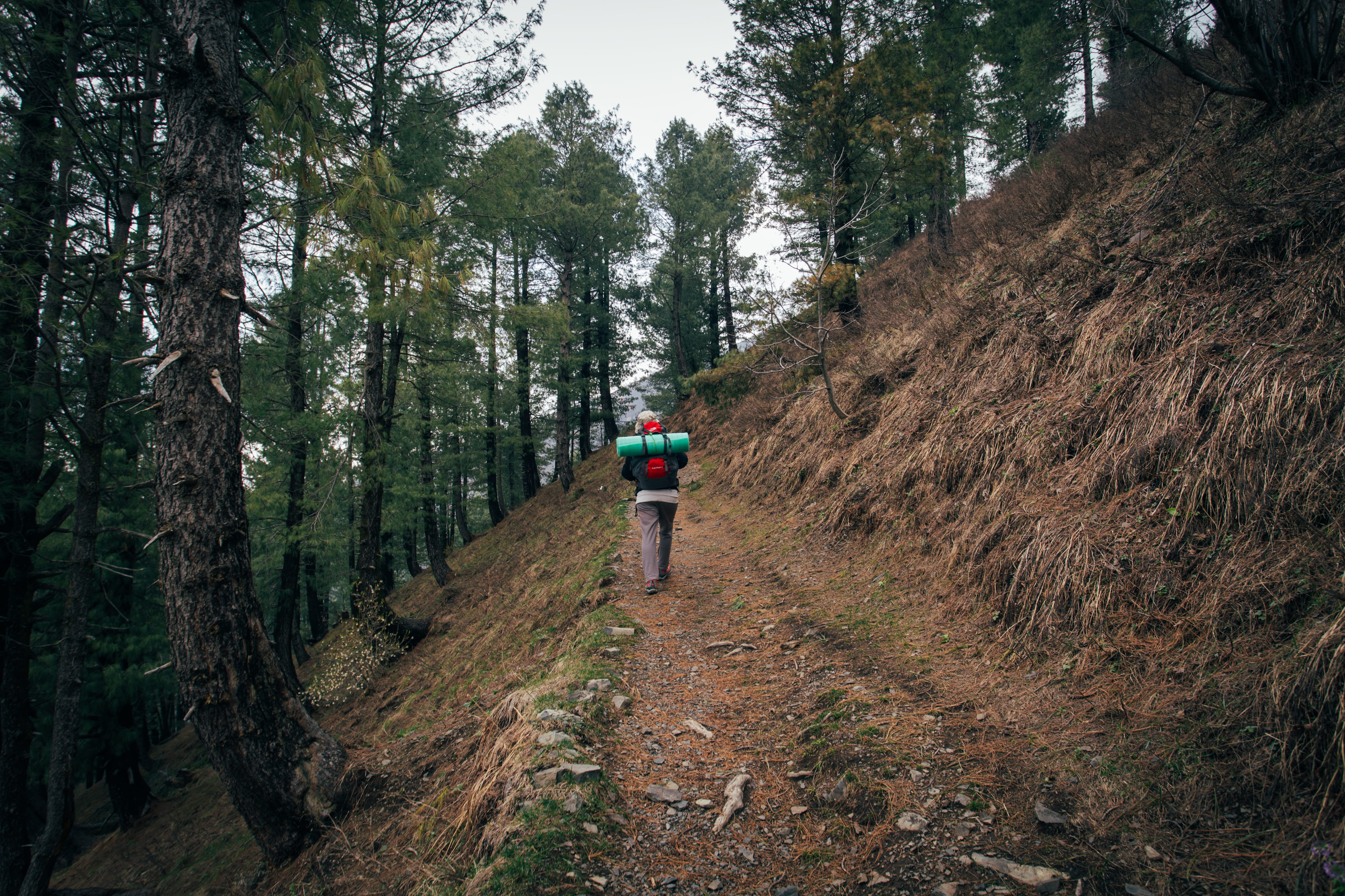 forest, mountains, tranquility, tranquil scene, plant, lifestyles, day, backpacking, hike, pakistan, nature, hiking, travel, outdoors, full length, girl, HD Wallpaper