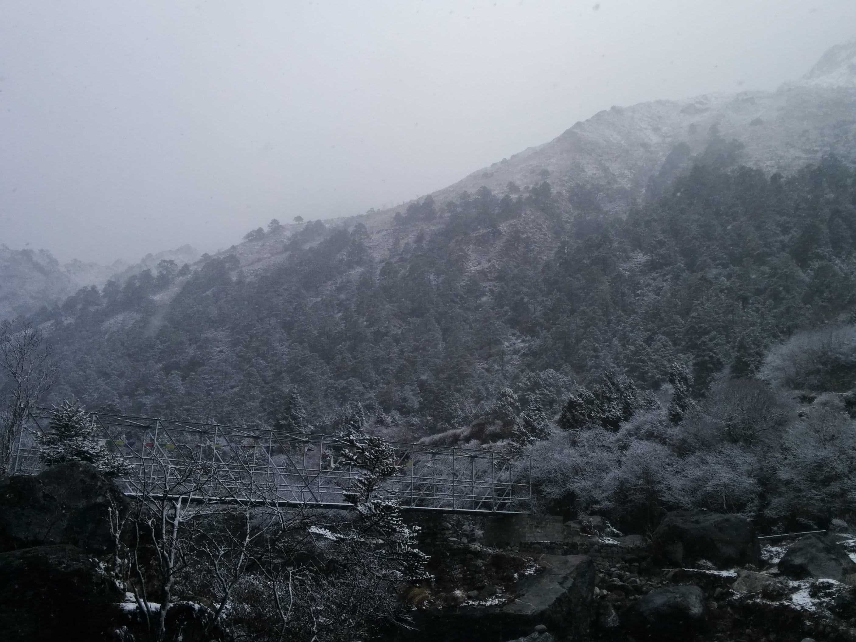 plant, winter, tyangboche, sky, tree, no people, snowfall, water, cold temperature, everest, 2K, day, fog, mountain range, beauty in nature, environment, HD Wallpaper