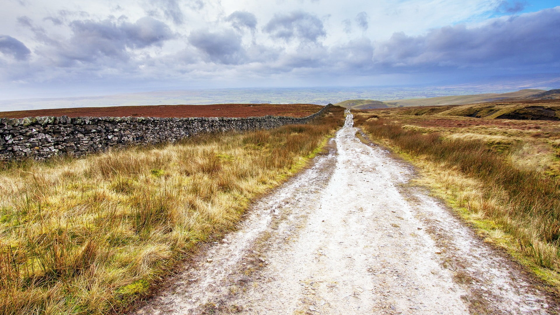 direction, horizon, travel, semi-arid, landscape, the way forward, rural scene, grasses, green, scenics - nature, dirt road, 1080P, non-urban scene, sky, HD Wallpaper