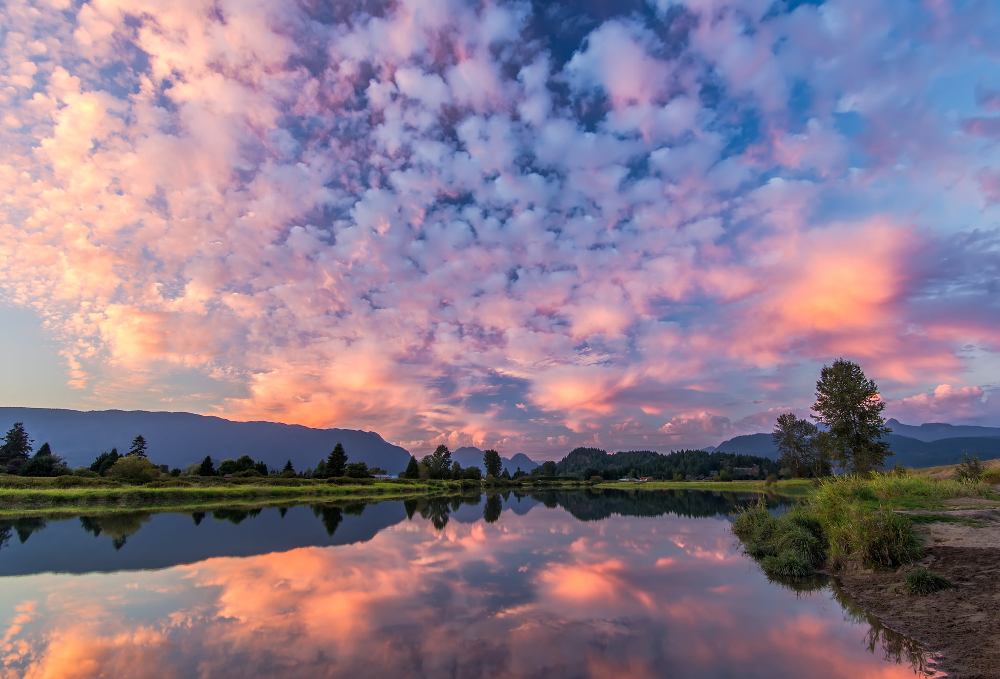 sunset, scenics - nature, purple, stratus, white, beauty in nature, tree, tranquility, dawn, lake, outdoors, orange color, mountains, nature, idyllic, reflection lake, HD Wallpaper