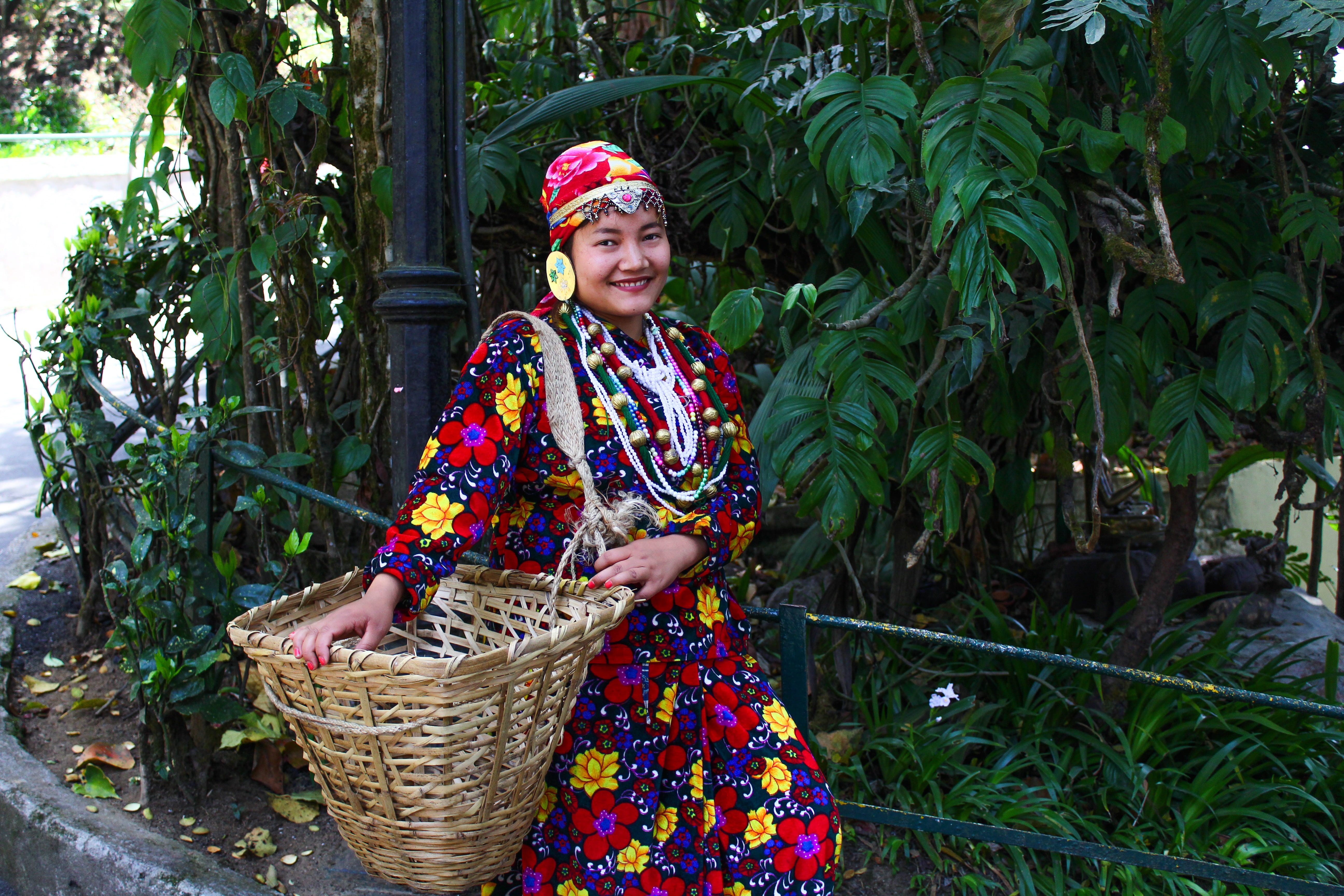 three quarter length, emotion, india, traditional, front view, darjeeling, looking at camera, travel, basket, women, smiling, bengal, standing, outdoor, HD Wallpaper