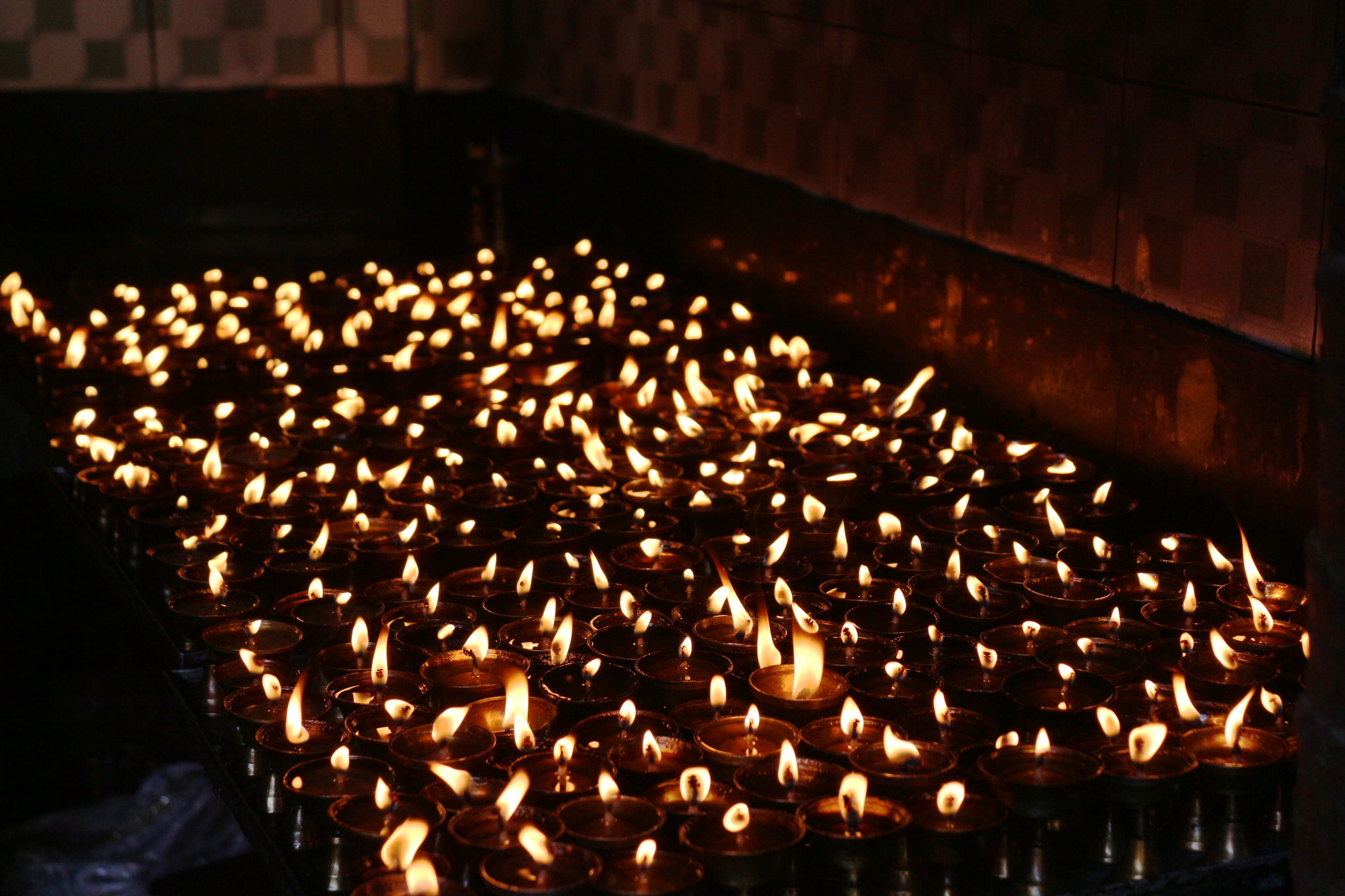 electric lamp, glowing, darjeeling, focus on foreground, business, food and drink, heat - temperature, india, 2K, illuminated, in a row, low angle view, HD Wallpaper