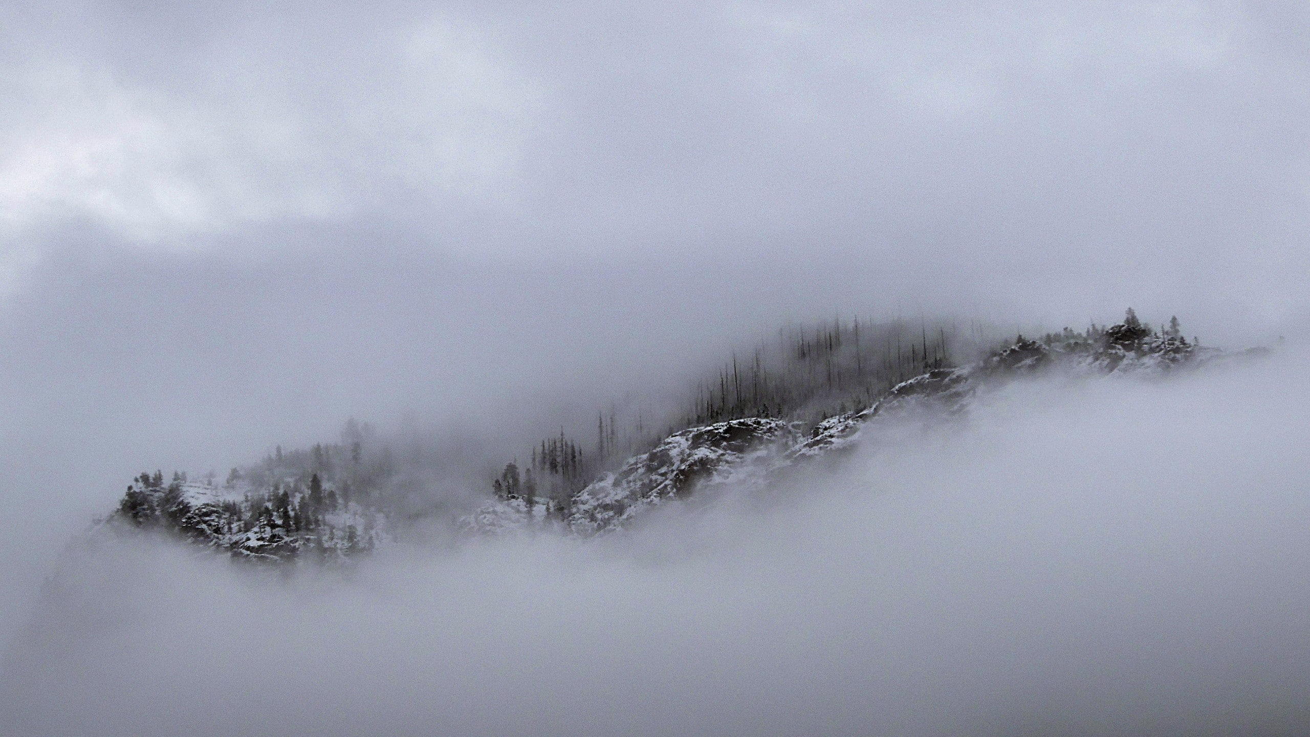 beauty in nature, tranquility, mist, Montana, no people, land, tranquil scene, snow, fog, 2K, environment, forest, clouds, winter, mountains, scenics - nature, HD Wallpaper