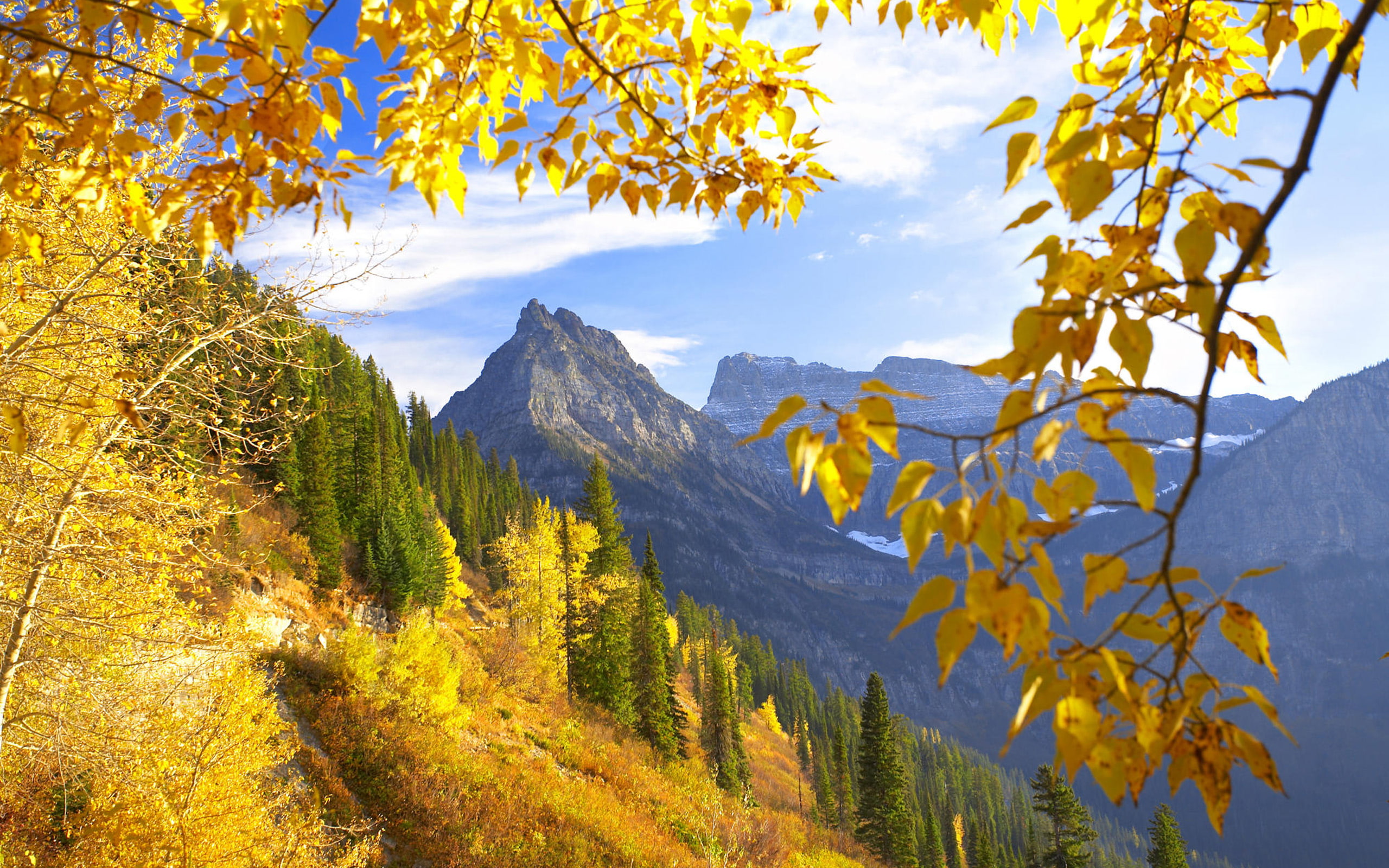 autumn, trees, yellow, gold, mix, glacier, park, hd, leaves, montana, national, 2K, mountain, landscape, HD Wallpaper
