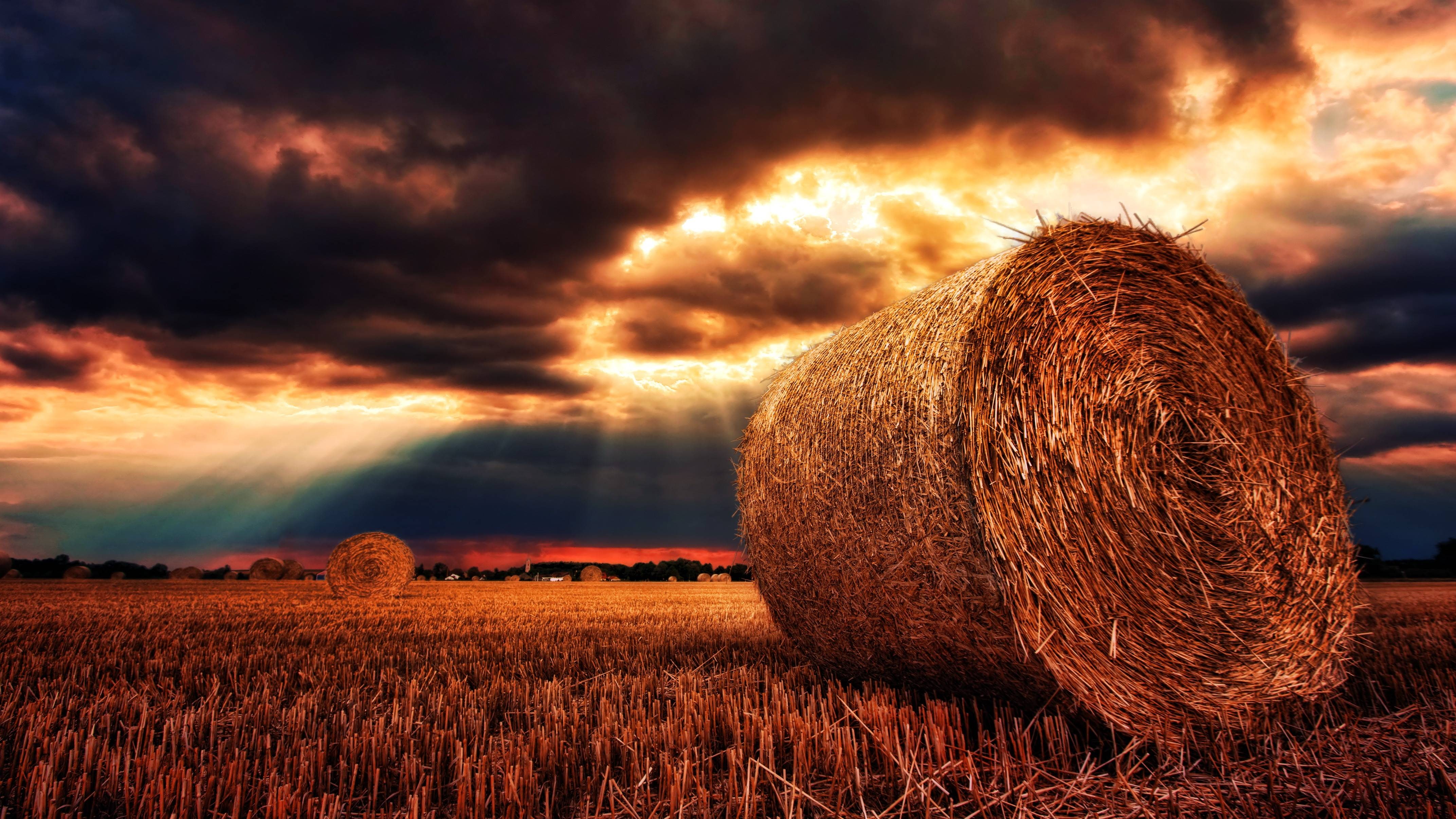 straw, harvest, 4K, cereals, nature, hay, bales, HD Wallpaper
