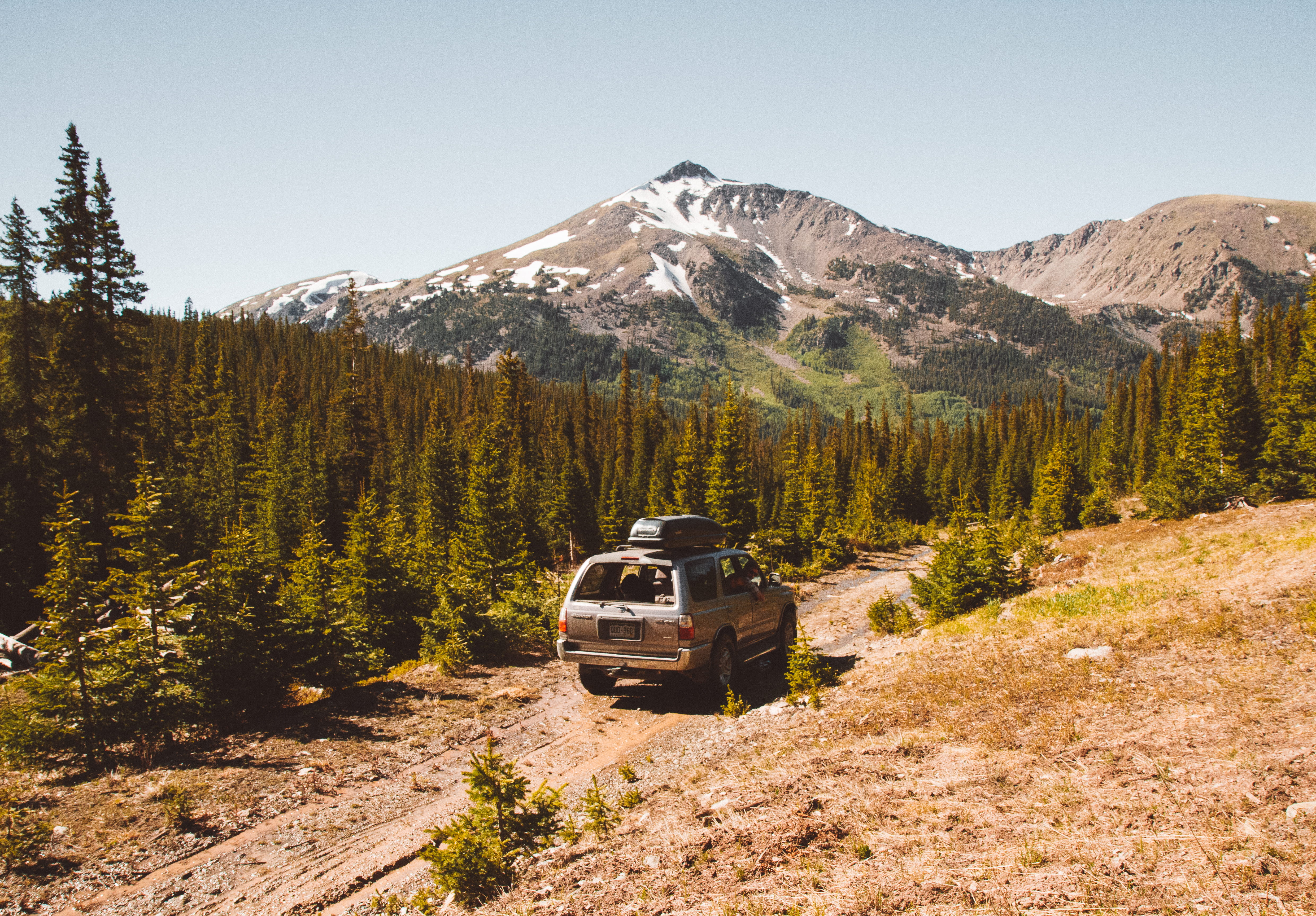 scenics, land, path, road trip, green, no People, brown, tall, pine woodland, distance, soil, daytime, adventure, mountain peak, environment, activity, HD Wallpaper