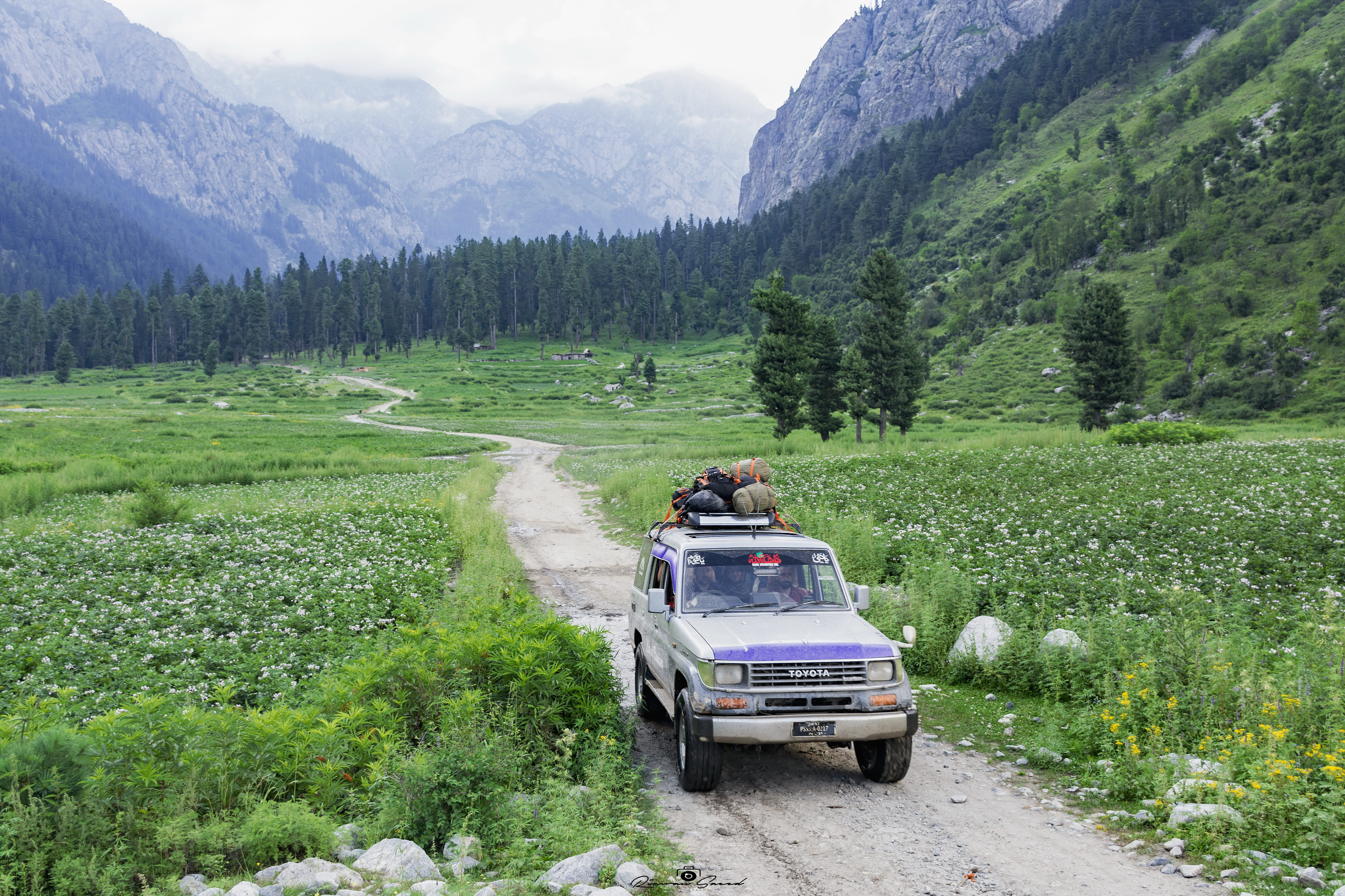 growth, cool, mode of transportation, day, outdoors, plant, kpk, beauty, mountains, safari, valley, two people, green color, love, 5K, dilshadrazi, green, HD Wallpaper