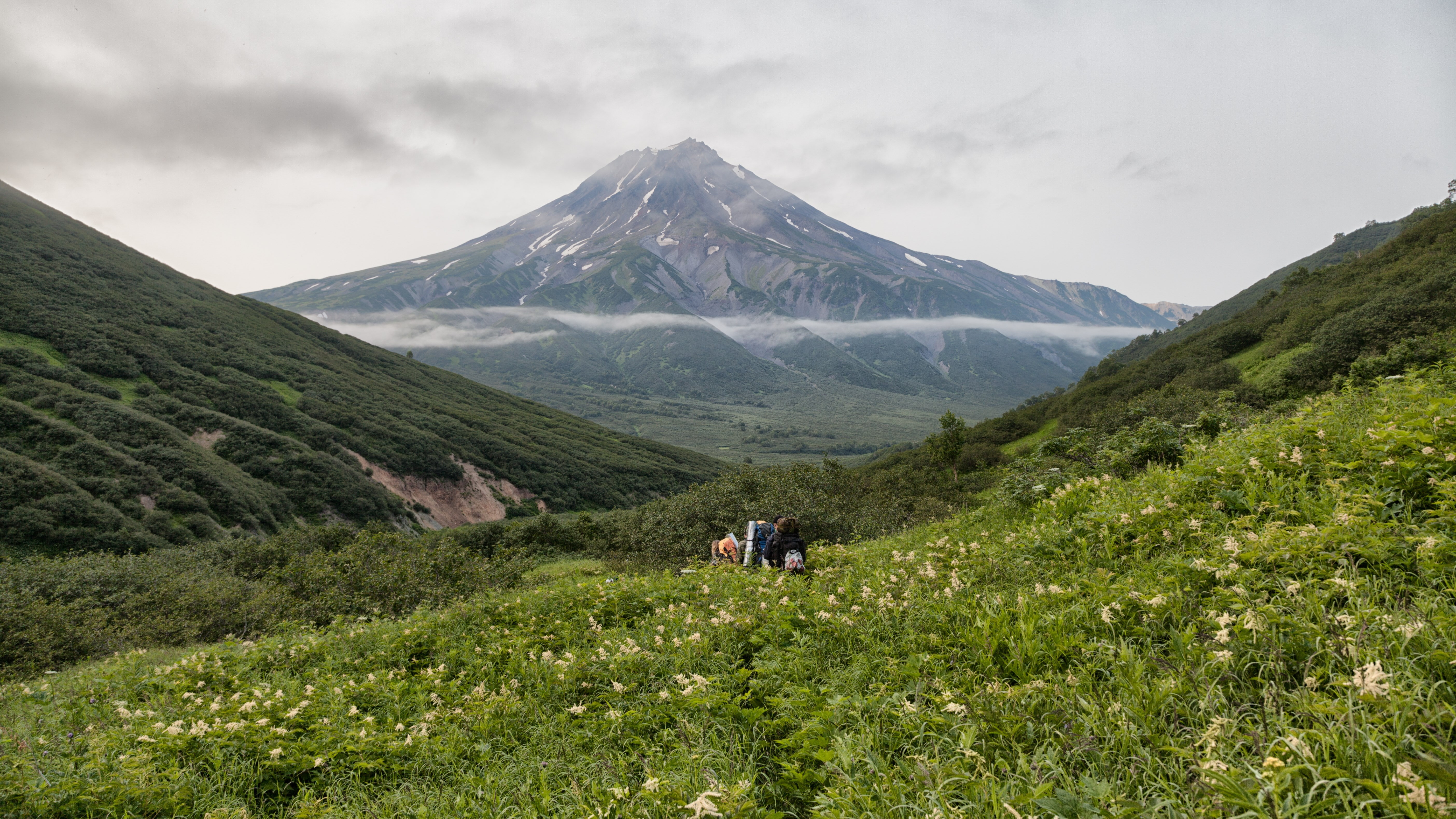 green color, beauty in nature, real people, mountain peak, grass, plant, idyllic, nature, cloud - sky, hiking, outdoors, kamchatka foggy volcano, rear view, HD Wallpaper