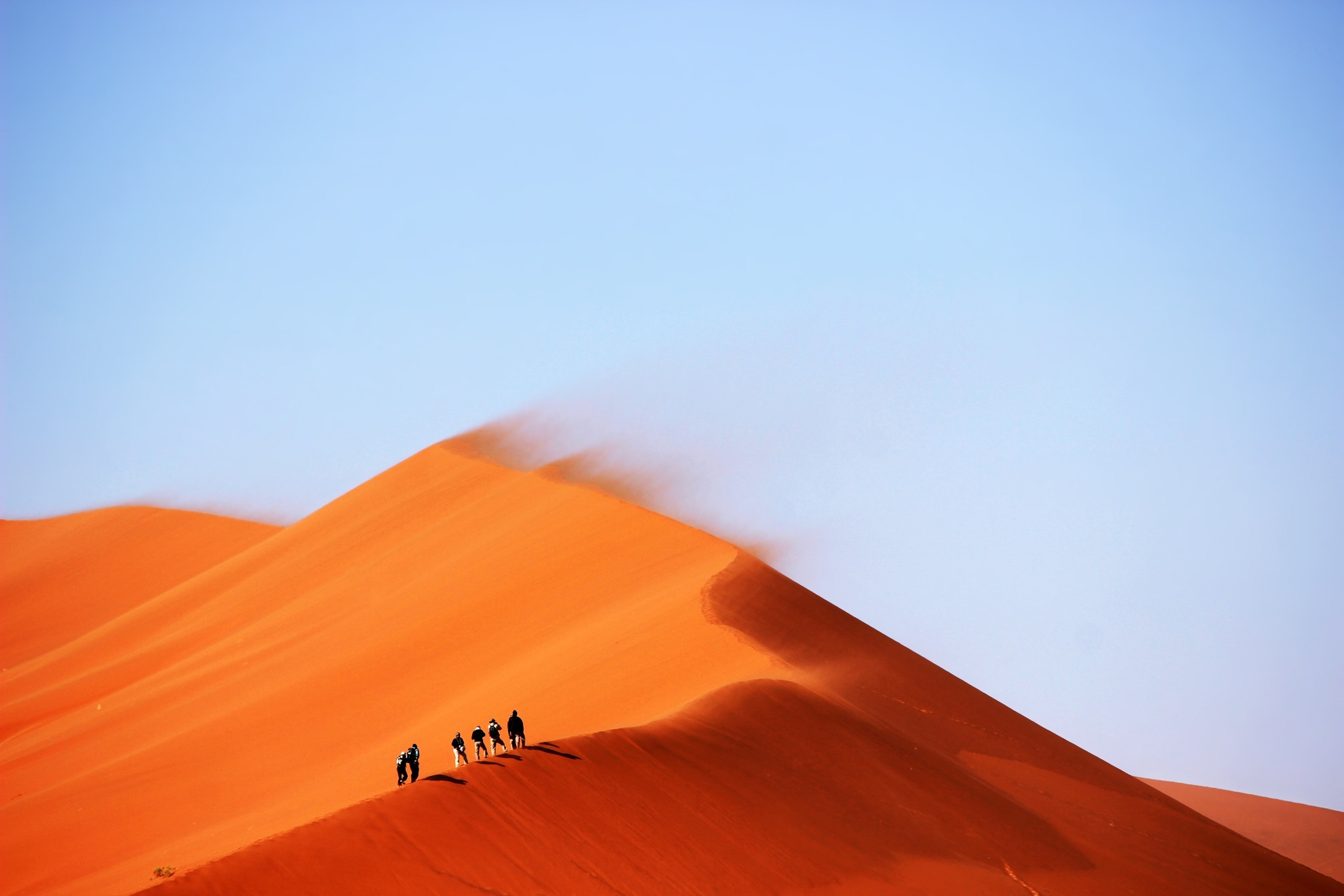 land, blue, travel, copy space, scenics - nature, sky, sand dune, desert, people, clear sky, camel, arid climate, day, outdoors, climate, nature, landscape, HD Wallpaper