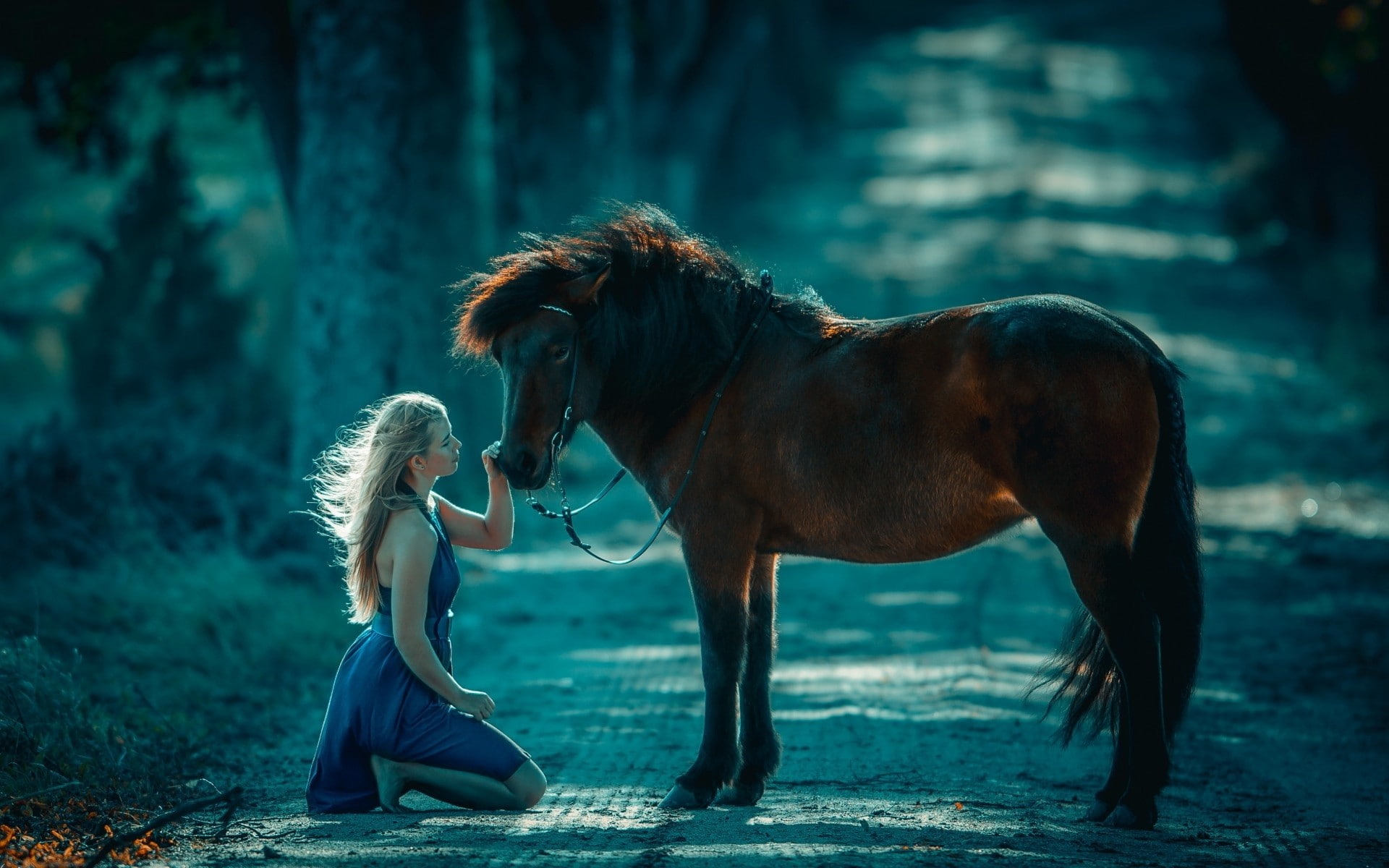 pets, domestic, young adult, real people, one animal, mammal, animal wildlife, blue dress, hairstyle, women, lifestyles, young women, vertebrate, windy, HD Wallpaper