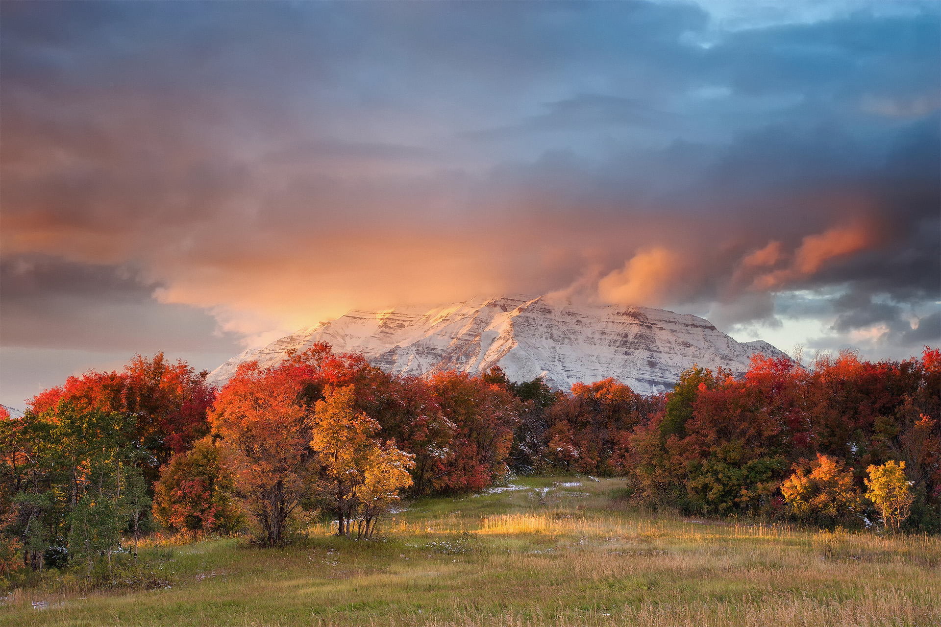 change, tree, nature, outdoors, orange color, Wasatch, tranquility, USA, non-urban scene, air pollution, environment, field, Utah, mountain range, plant, HD Wallpaper
