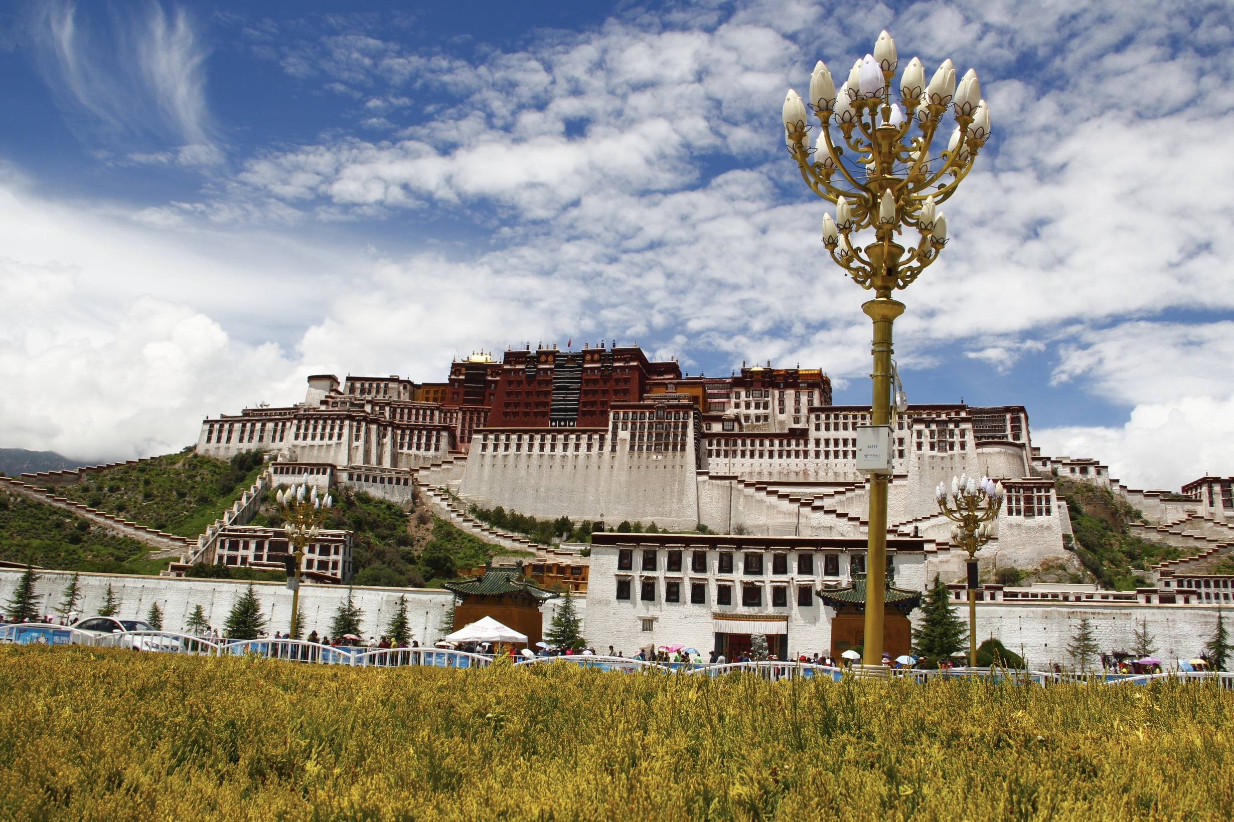 residential district, plant, travel destinations, lhasa, city, sky, ornate, built structure, architecture, 1080P, day, building, religion, outdoors, grass, HD Wallpaper