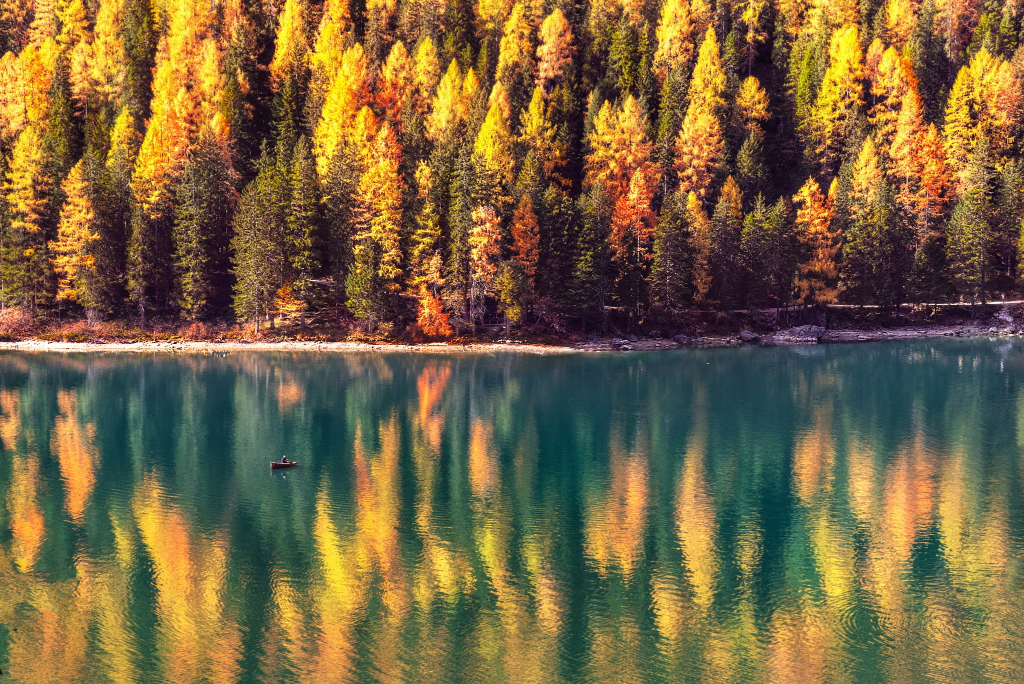 the sun, autumn, lake, trees, boat, 1080P, Braies, forest, Alps, The Dolomites, Italy, HD Wallpaper