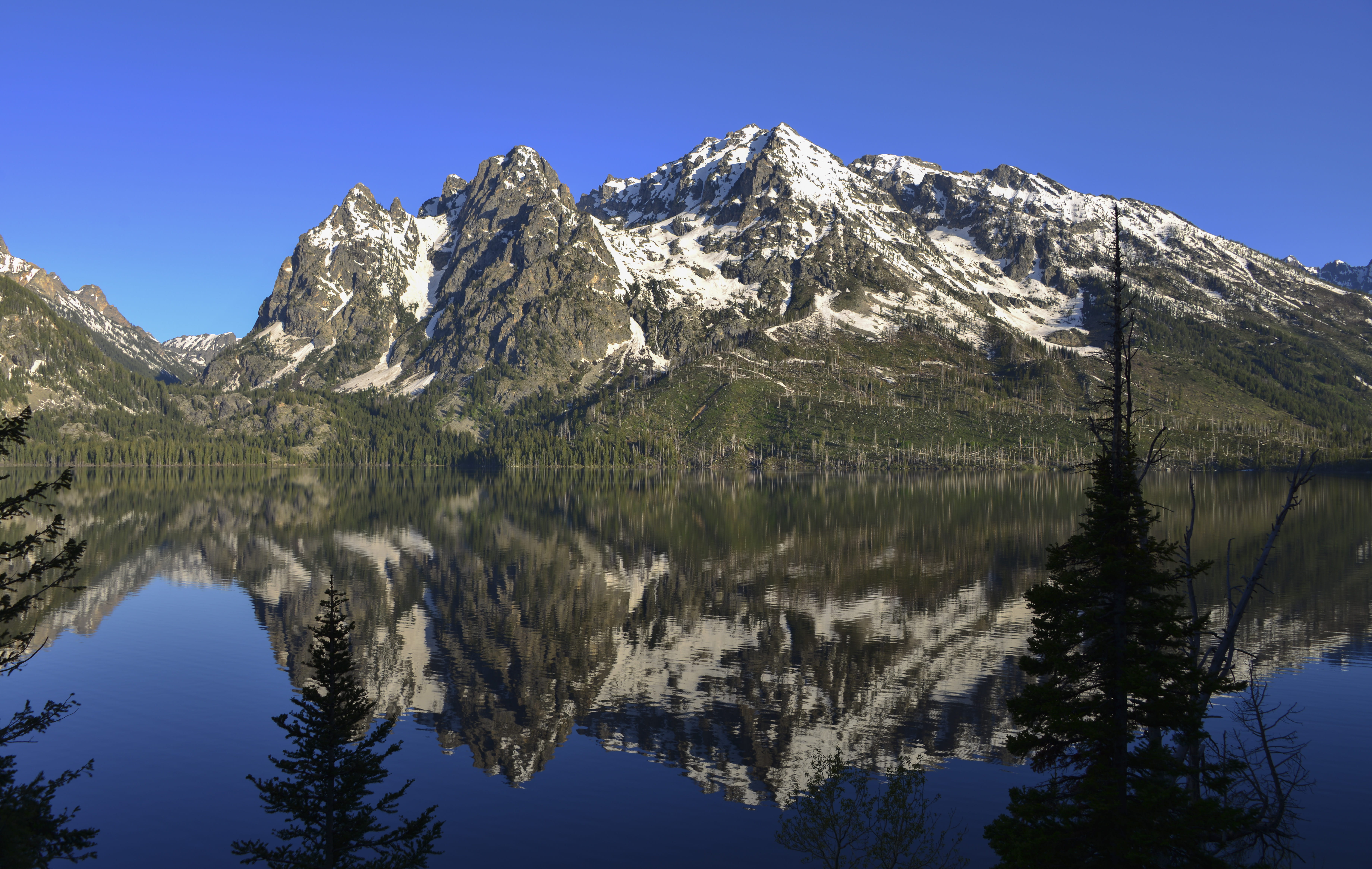tranquility, no people, united states, tree, grandteton, mountain range, water, snowcapped mountain, lake, plant, mountain, blue, day, waterfront, jenny lake, HD Wallpaper