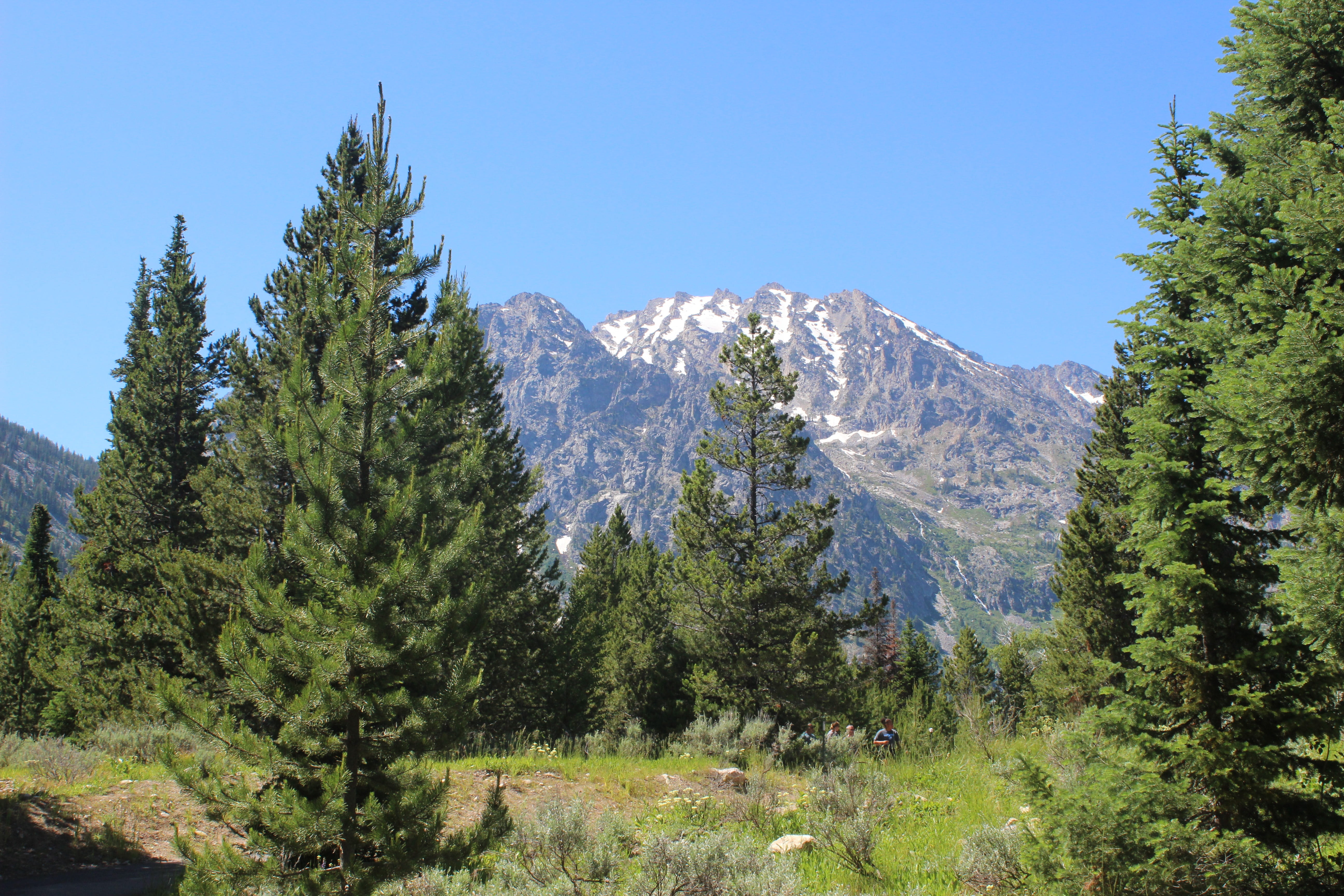 clear sky, snowcapped mountain, scenics - nature, mountain, land, landscape, sky, formation, pine tree, day, forest, green color, tranquility, jenny lake, HD Wallpaper