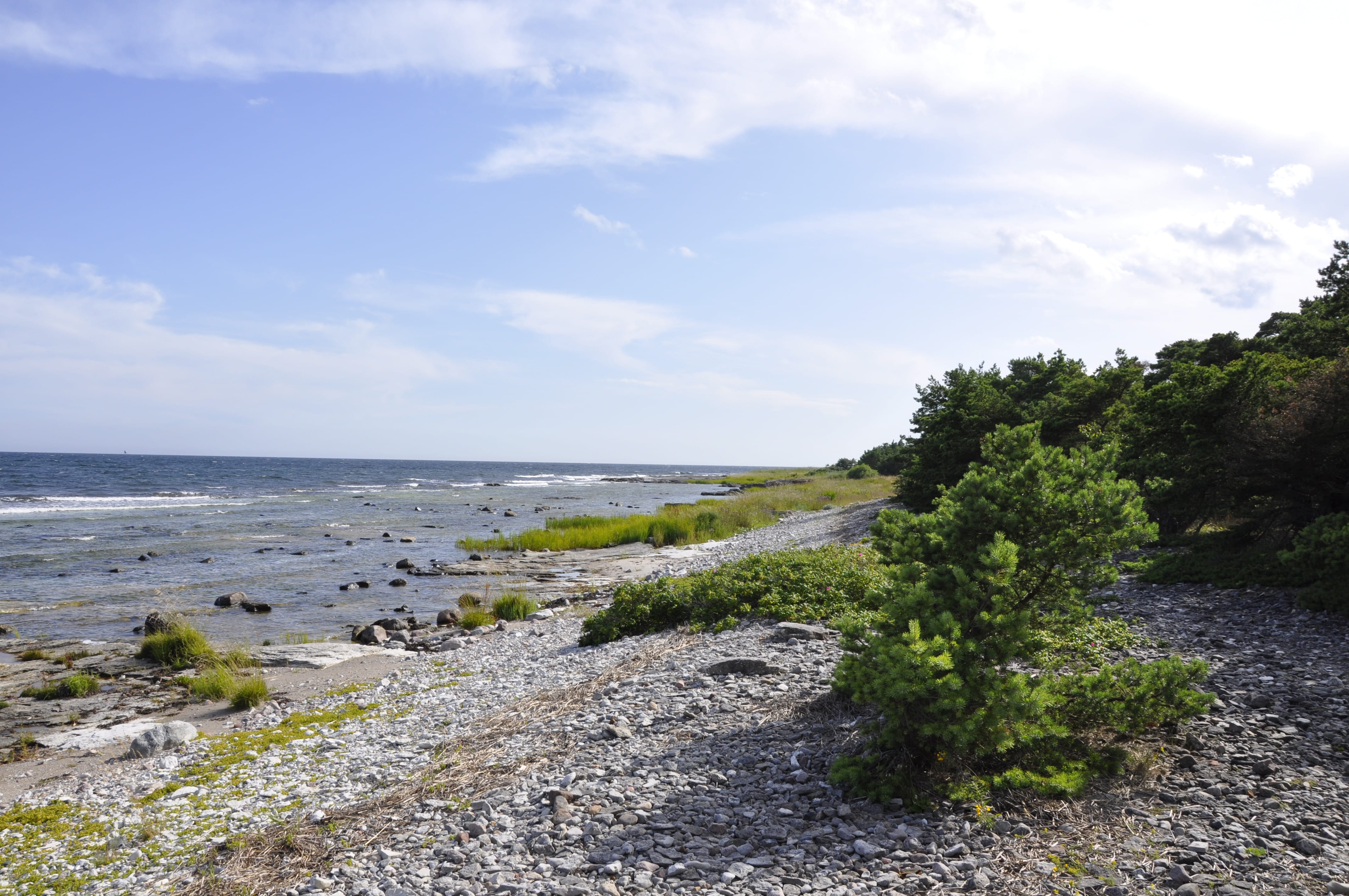 horizon over water, Pebble Beach, Gotland, sky, sea, horizon, outdoors, cloud - sky, land, rocky coastline, nature, growth, scenics - nature, non-urban scene, HD Wallpaper