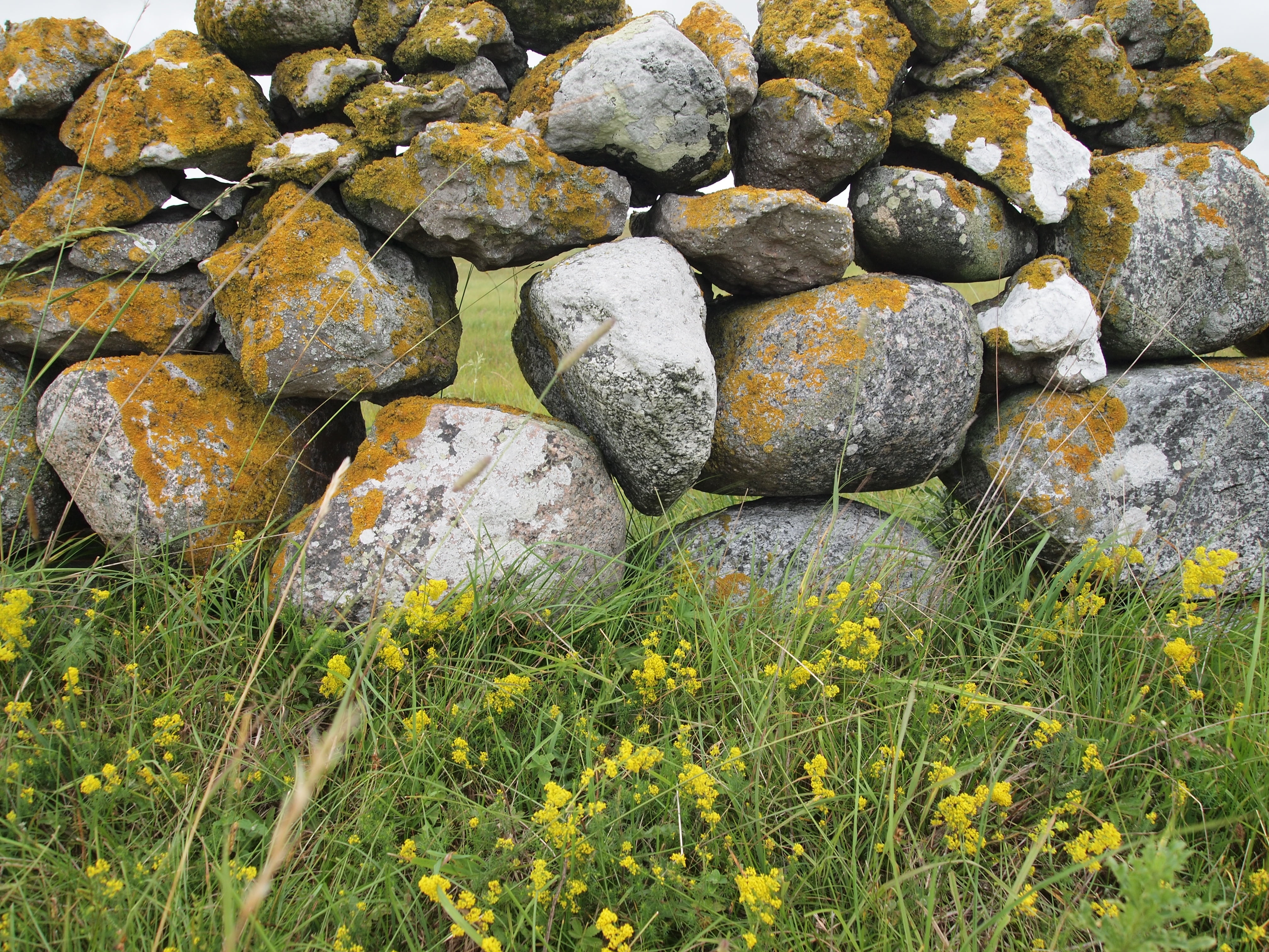 beauty in nature, high angle view, bait, stone wall, stone - object, nature, tranquility, grass, rock, summer, rock - object, water, lichen, sweden, stone, HD Wallpaper