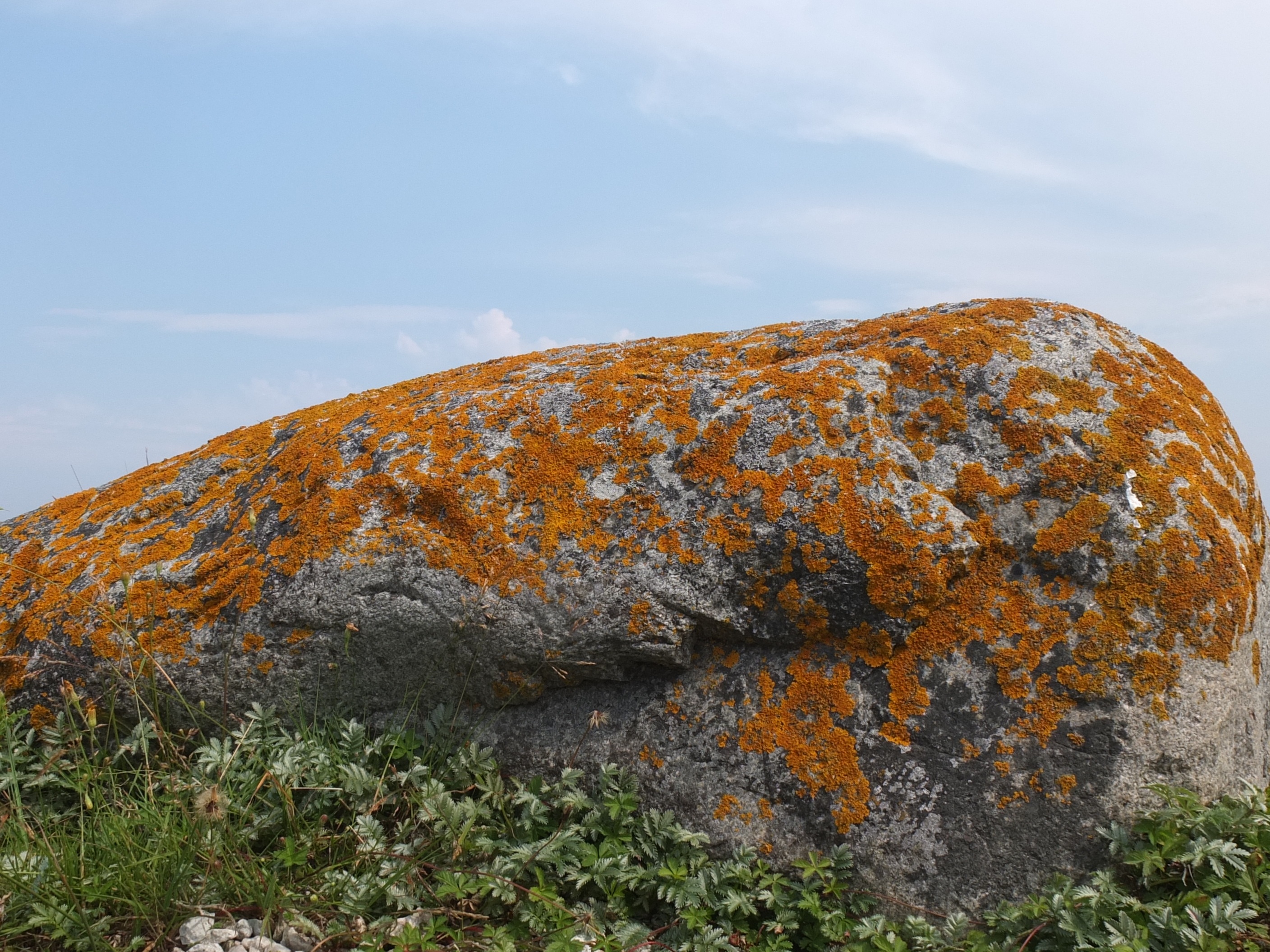 gotland, day, rock, lichen, land, beauty in nature, orange color, mountain, rusty, sweden, rock formation, stone, 2K, cloud - sky, solid, tranquil scene, HD Wallpaper