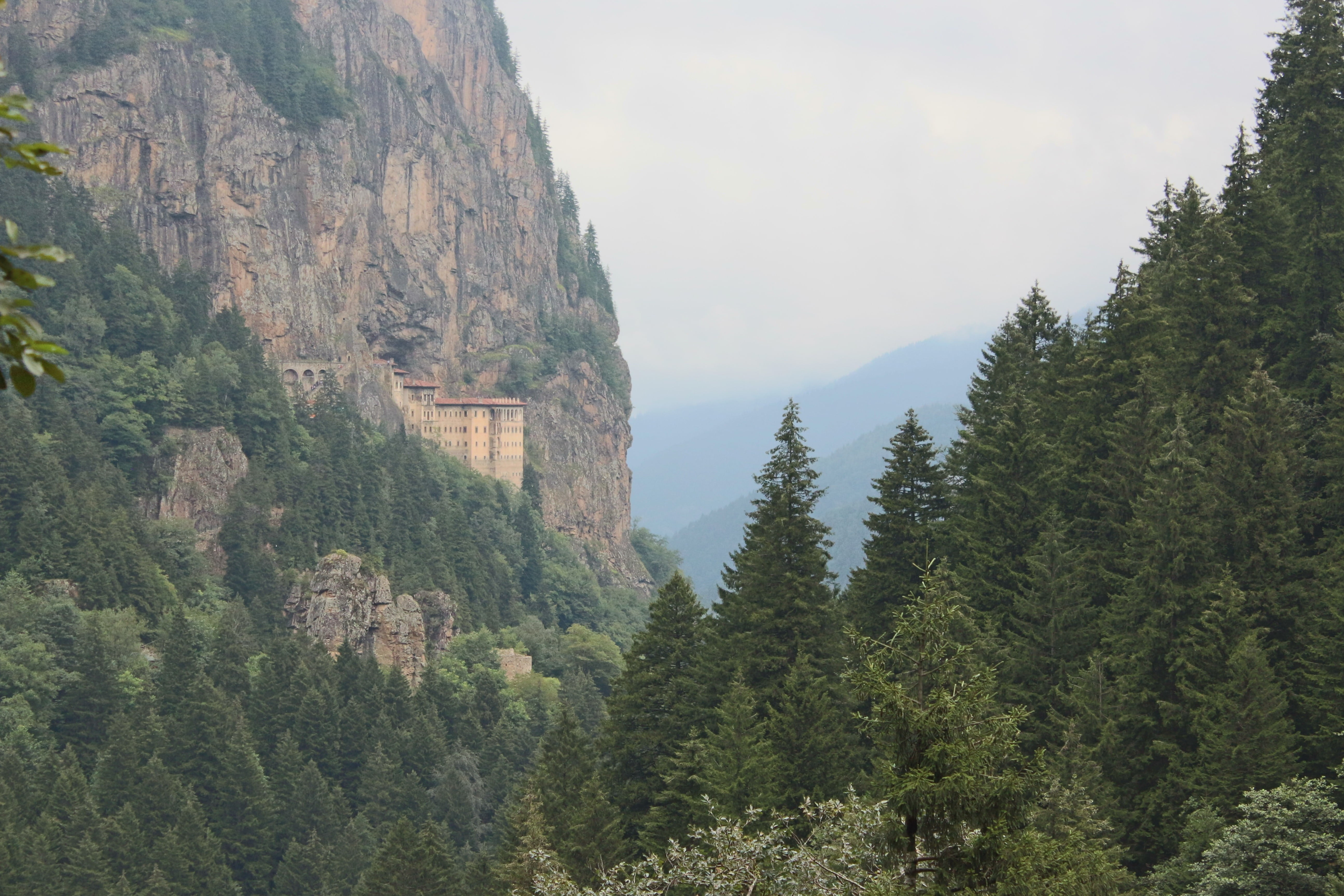 tree, forest, travel, trabzonspor, mountain range, architecture, Trabzon, nature, plant, green color, no people, beauty in nature, 5K, tranquil scene, HD Wallpaper