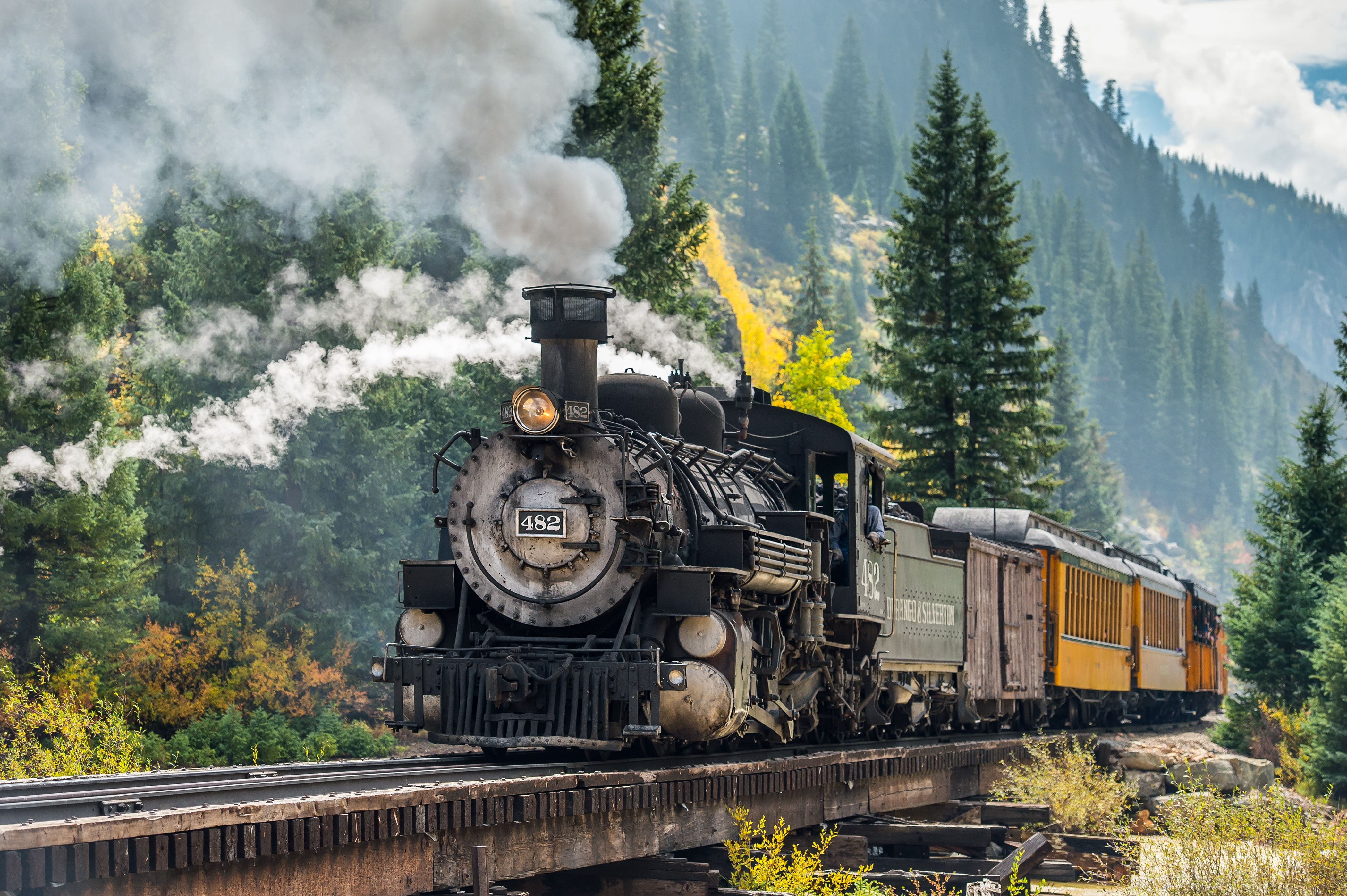 plant, nature, locomotive, day, passenger train, Vehicle, public transportation, train, no people, train - vehicle, mode of transportation, railway, transportation, HD Wallpaper