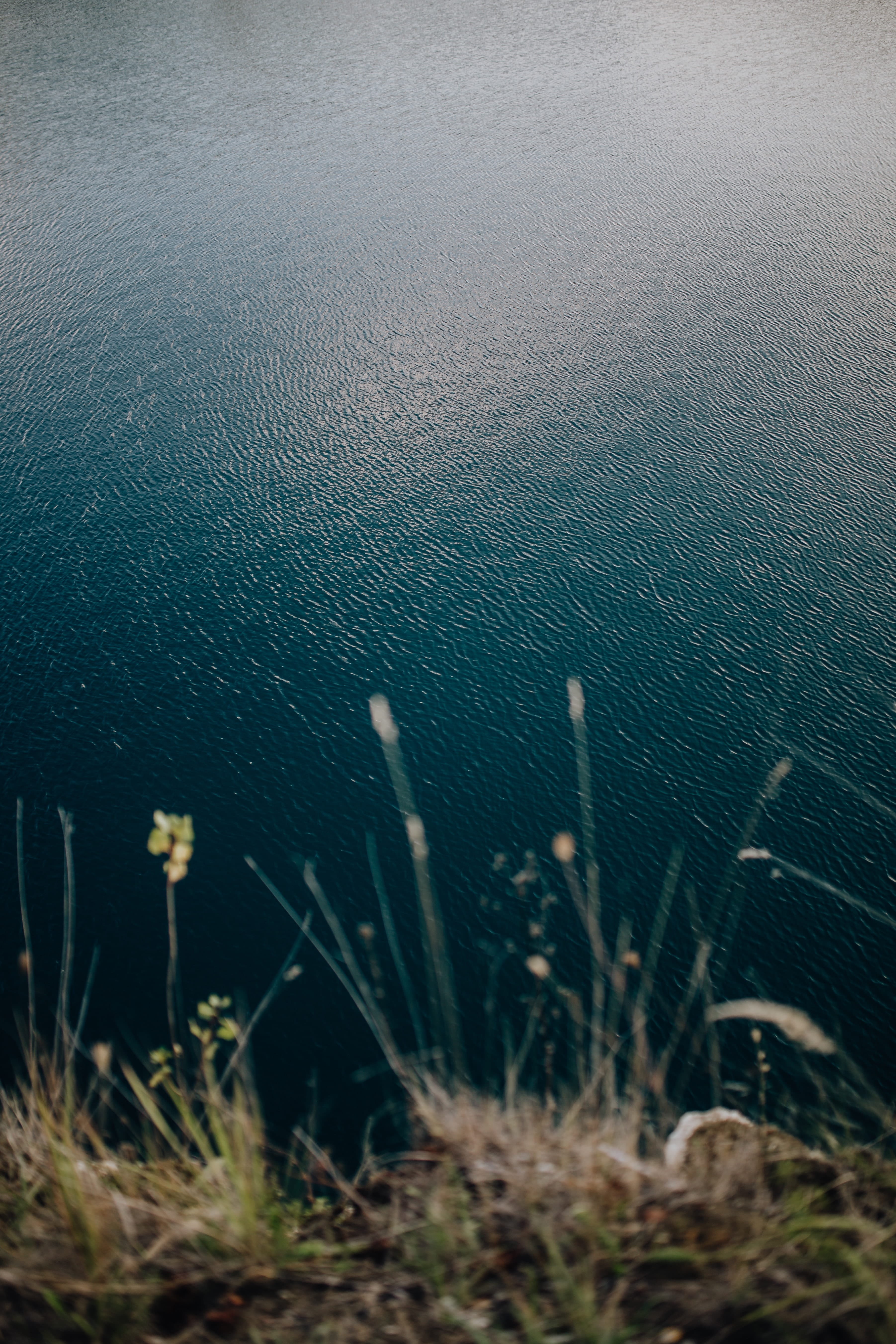 rocks, day, beach, Europe, growth, grass, water, old, nature, limestone, tranquil scene, cracow, Poland, sea, plant, lake, tranquility, cliff, land, close-up, Phone HD Wallpaper