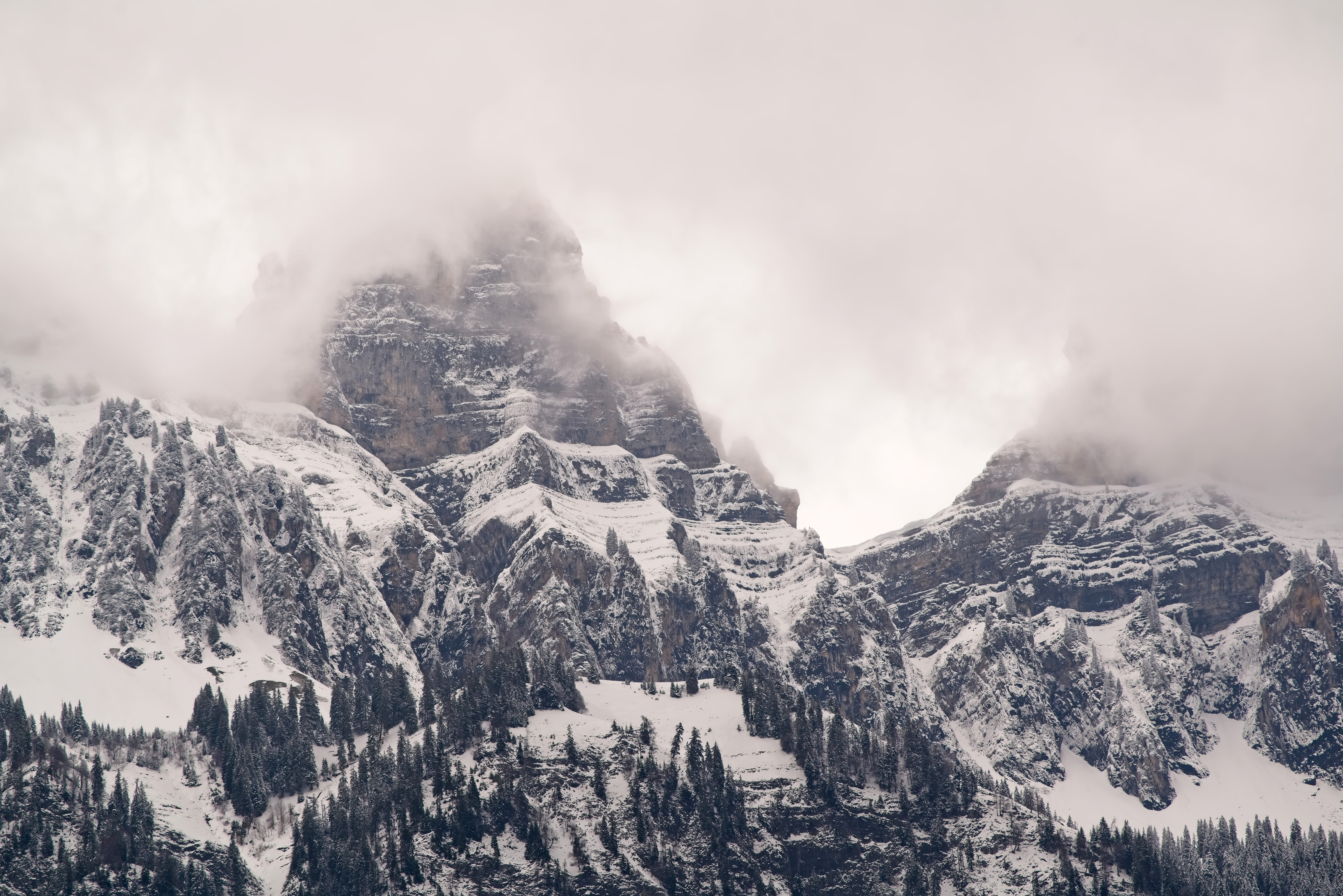 tranquil scene, walensee, peak, outdoors, landscape, coniferous tree, fog, snow, abies, cloud - sky, cloud, pine, pine tree, mountain range, ice, spring, HD Wallpaper