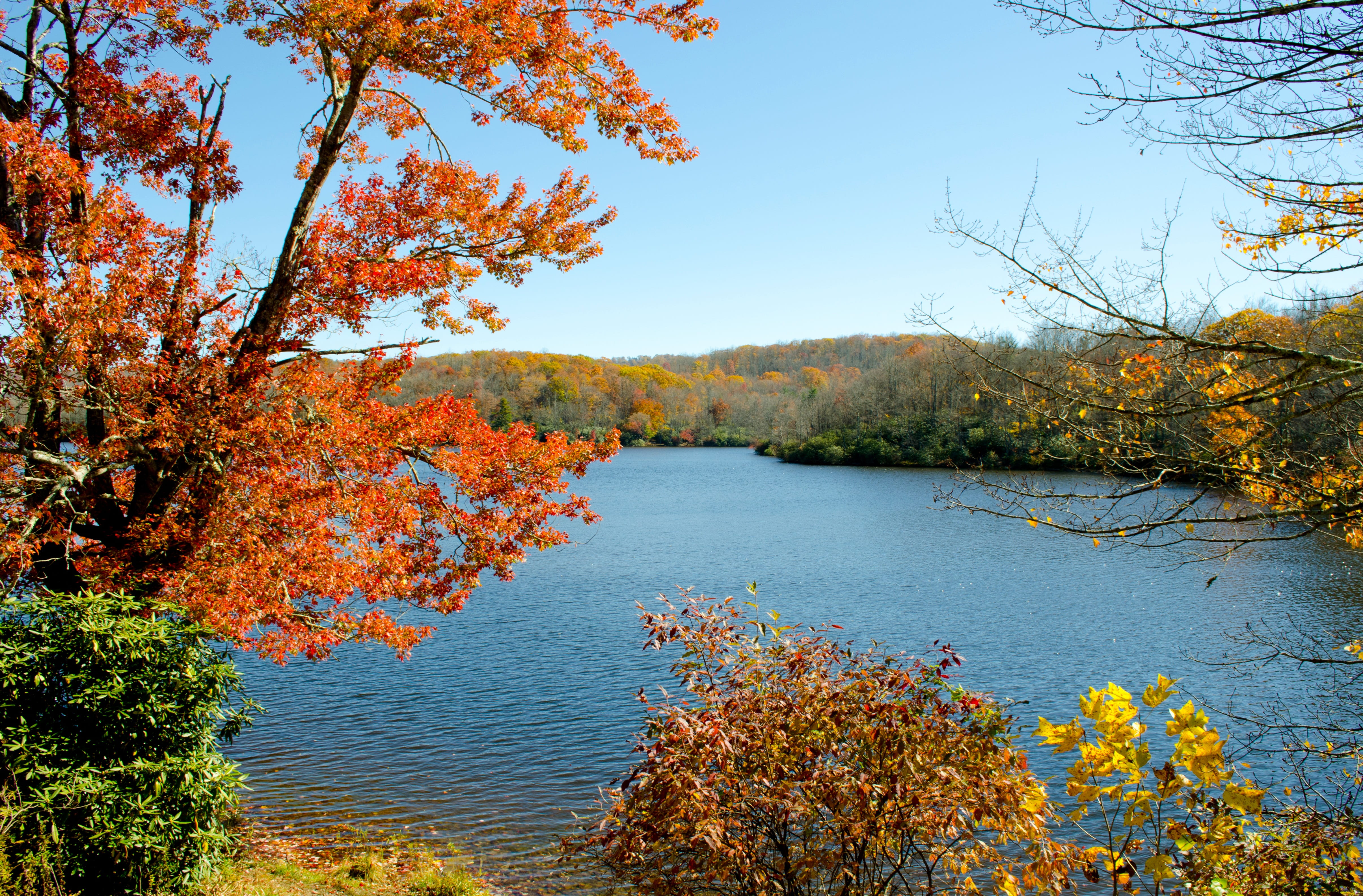day, growth, tree, plant, colorful, mountain lake, beauty in nature, outdoors, autumn, sky, parkway, change, nature, scenics - nature, non-urban scene, HD Wallpaper