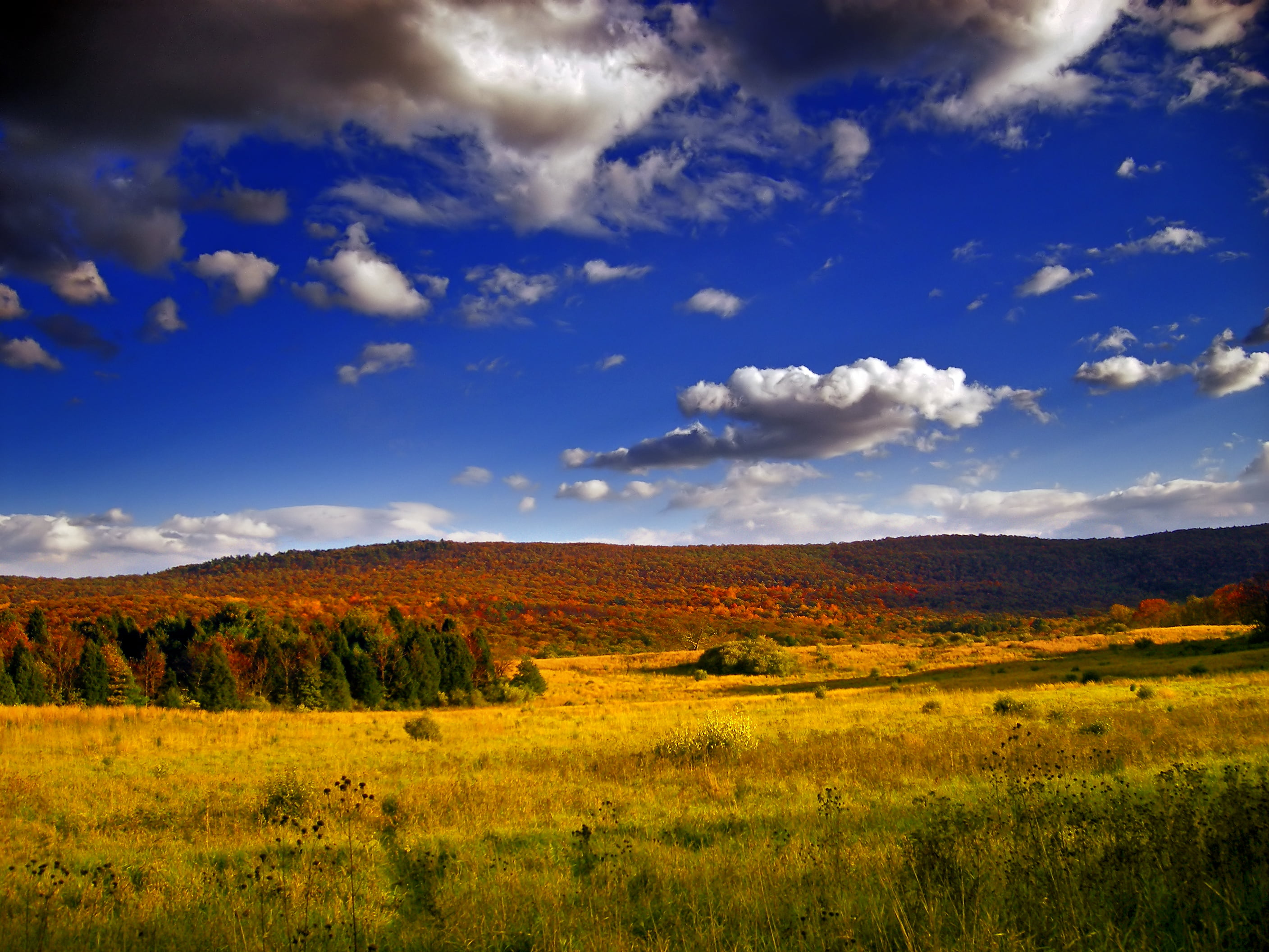 2K, clear, hills, Sussex County, landscape photography, beauty In Nature, Appalachian Mountains, valley, tree, blue, outdoors, cloud - Sky, Delaware Water Gap National Recreation Area, HD Wallpaper