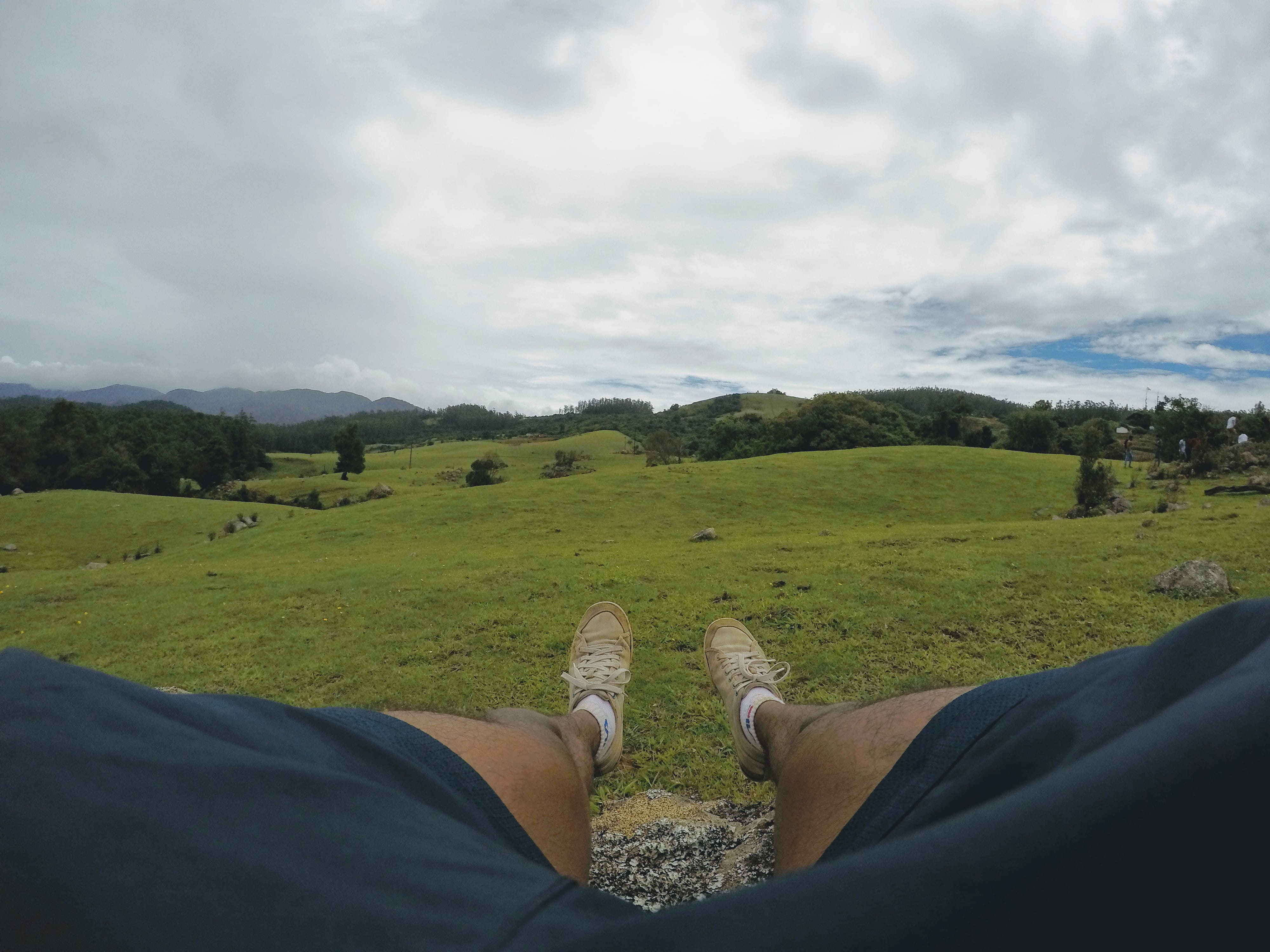 otty, socks, 4K, sky, nature, cat, mount stuart hill, cloud - sky, leg, trees, health, land, tamilnadu, personal perspective, grass, tamil, fila, leaf, HD Wallpaper