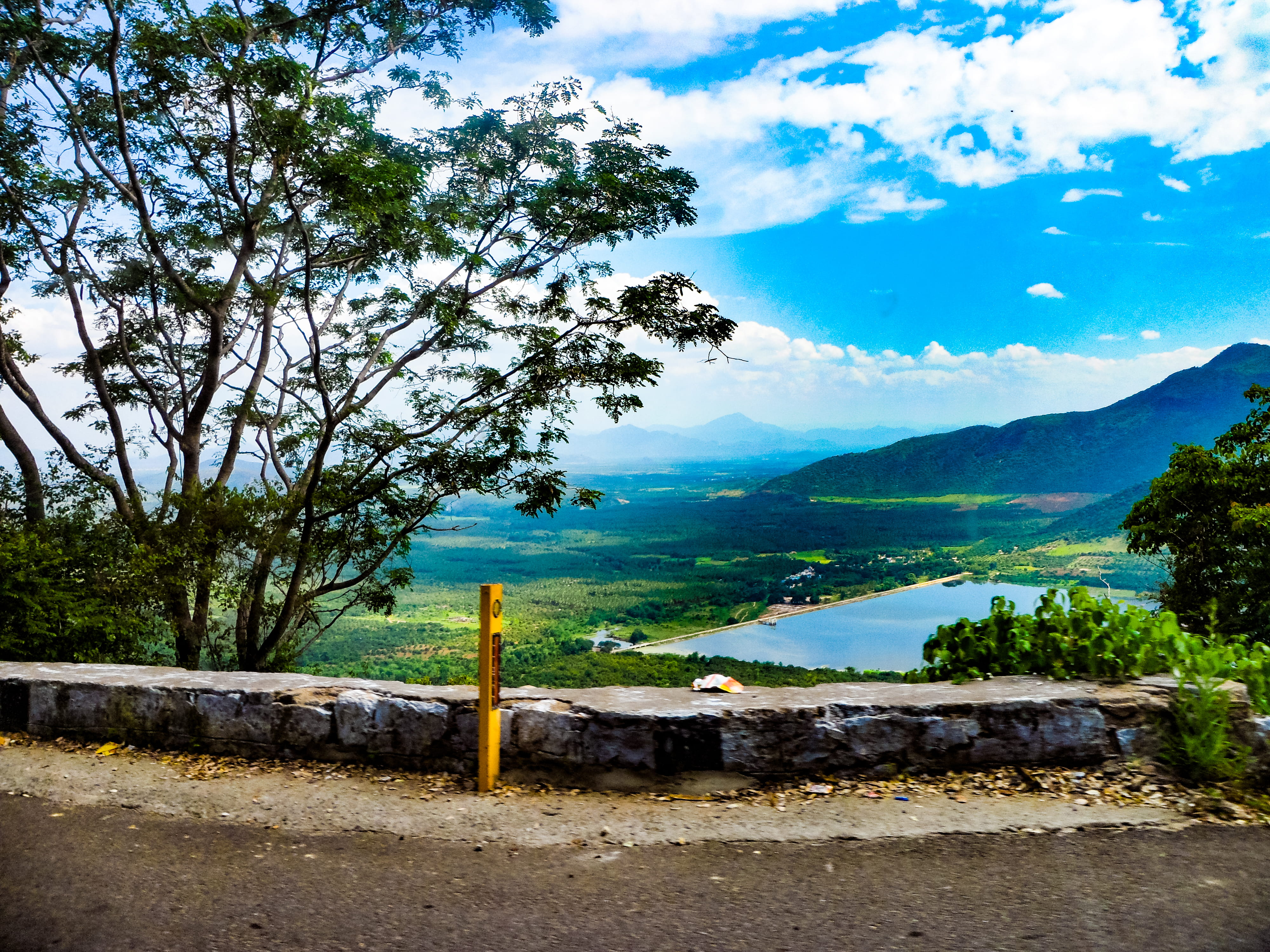 tree, mountain, landscape, wooden post, nature, beauty in nature, green color, plant, no people, cloud - sky, 4K, tranquil scene, outdoors, india, day, HD Wallpaper